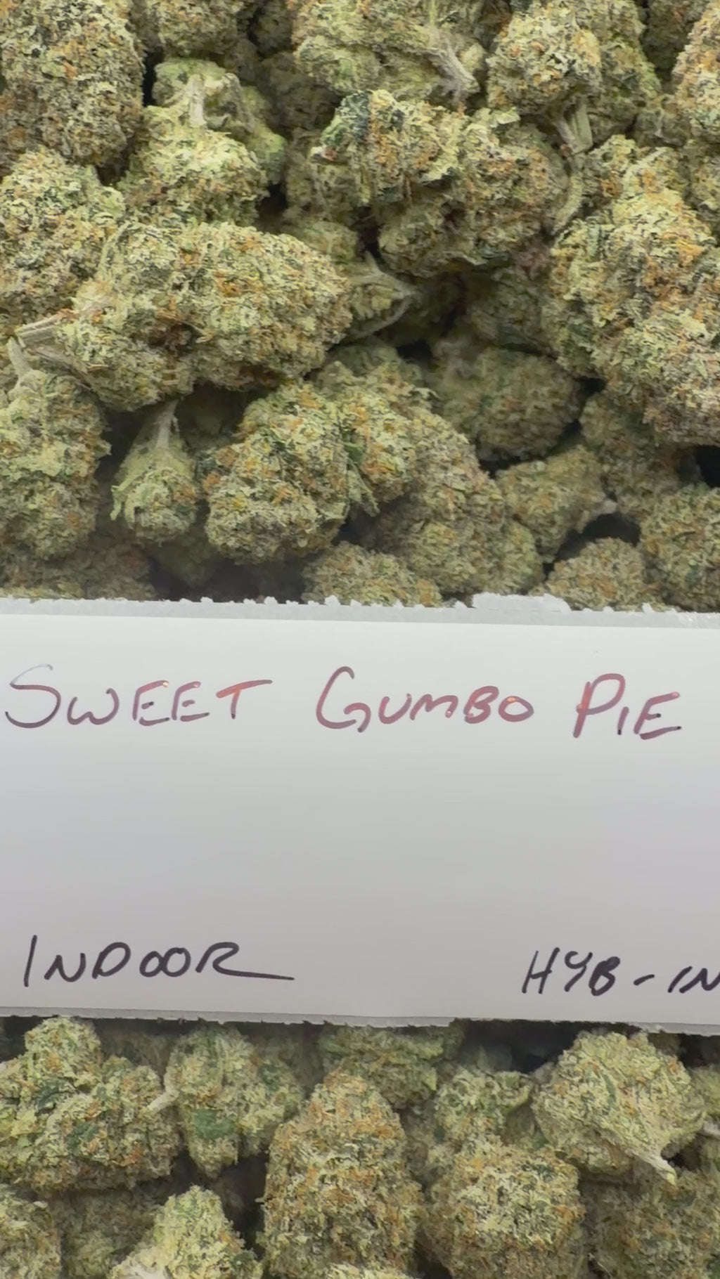 J Litty’s Weekly Deals!