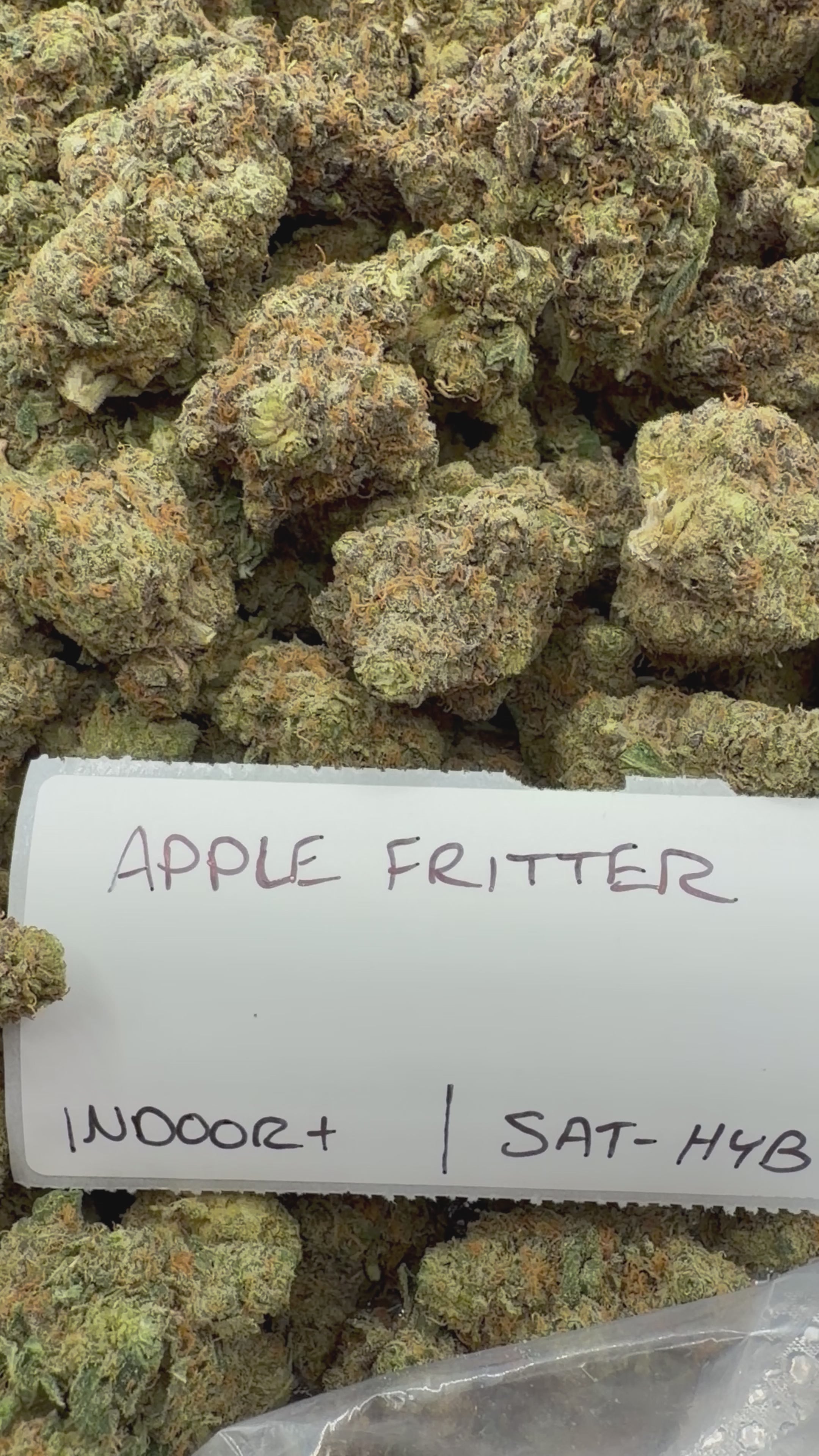 J Litty’s Weekly Deals!