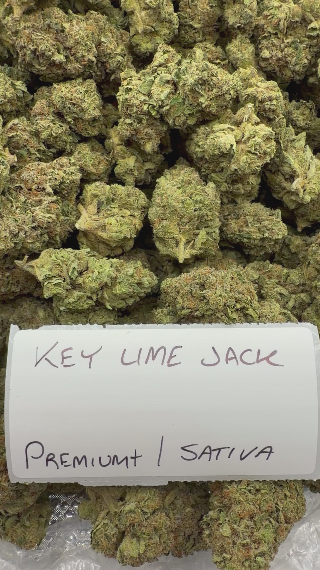 J Litty’s Weekly Deals!