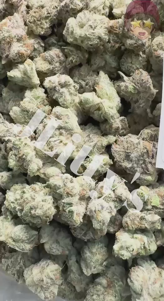 *SALE* SMALLS AND MEDIUMS