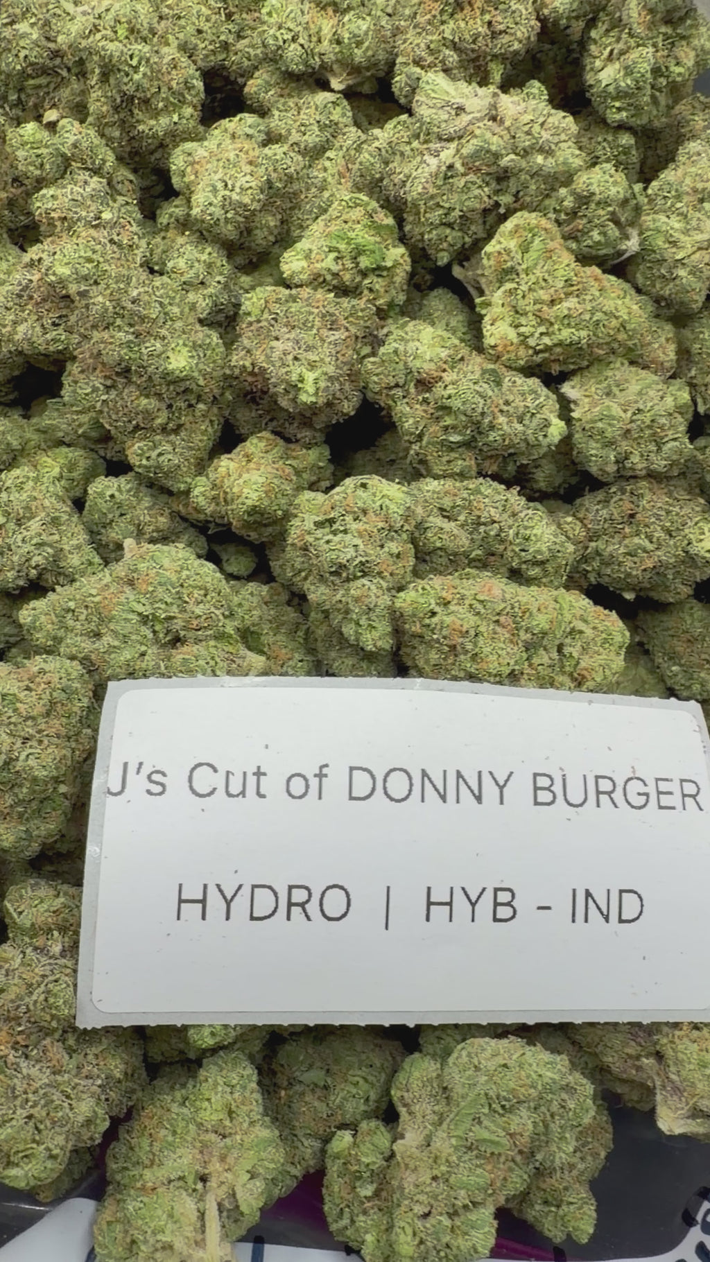 TOP SHELF EXOTICS