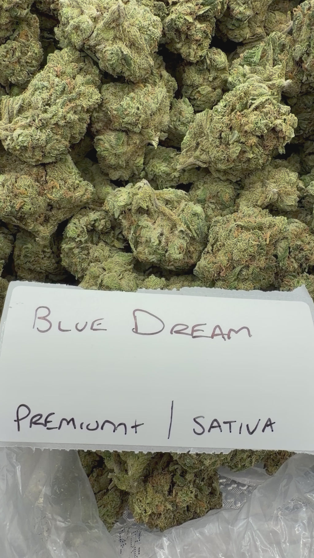 J Litty’s Weekly Deals!