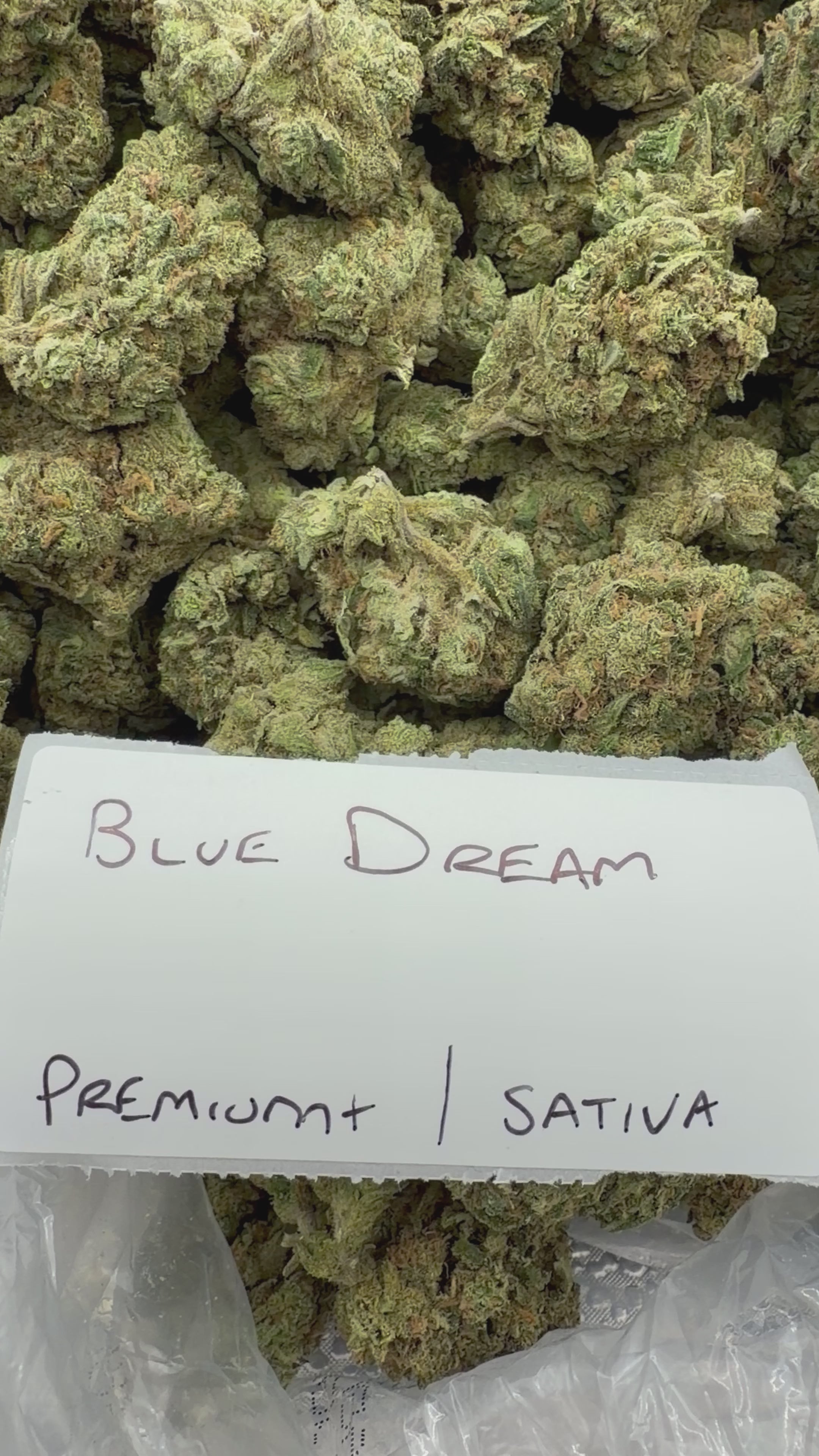 J Litty’s Weekly Deals!