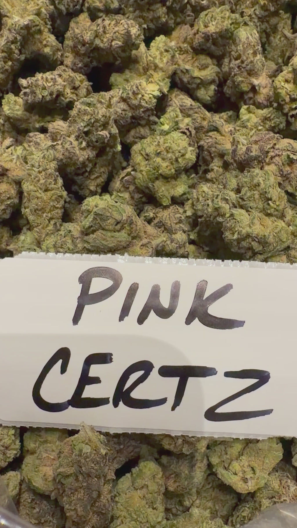 J Litty’s Weekly Deals!