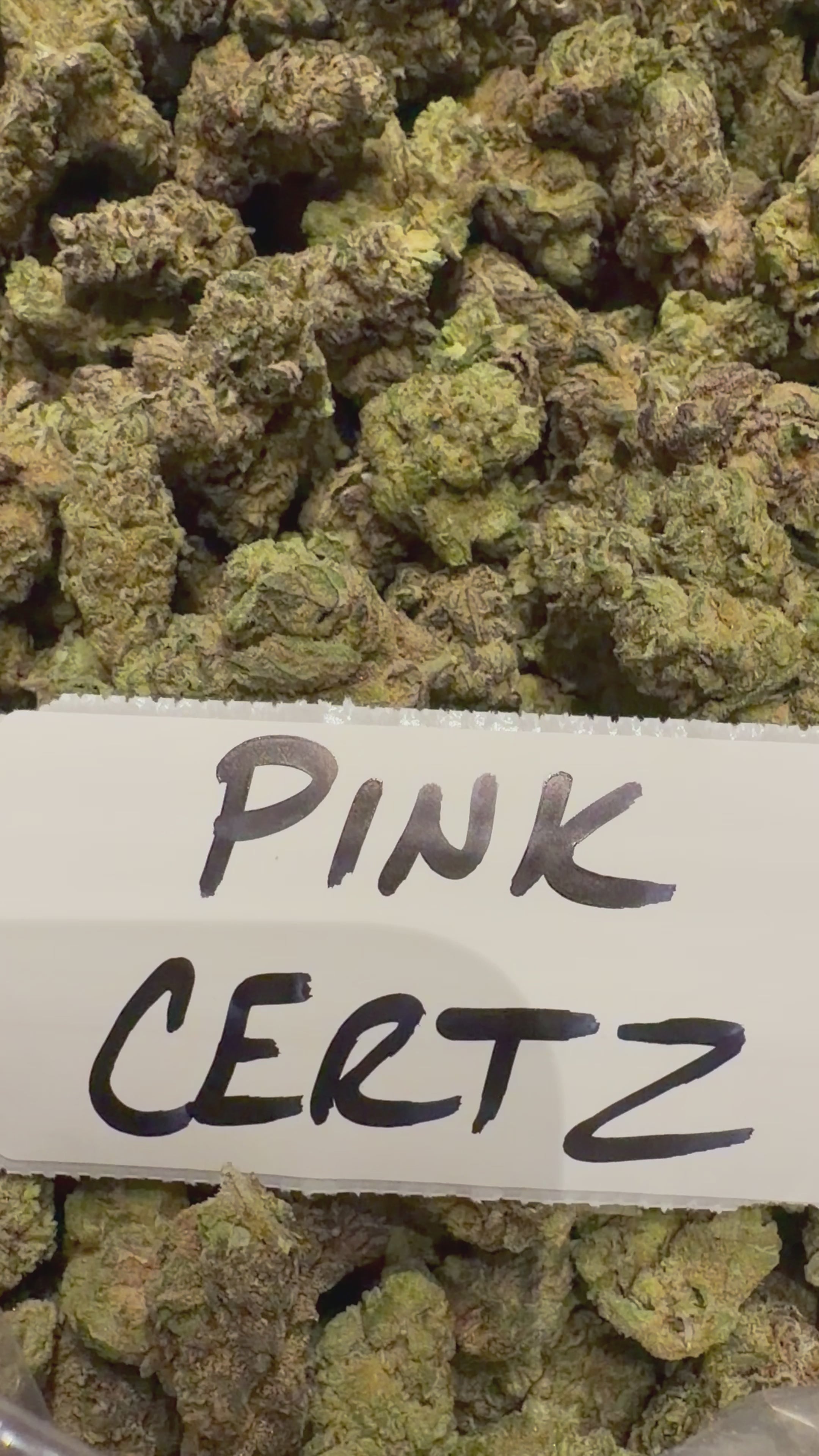 J Litty’s Weekly Deals!