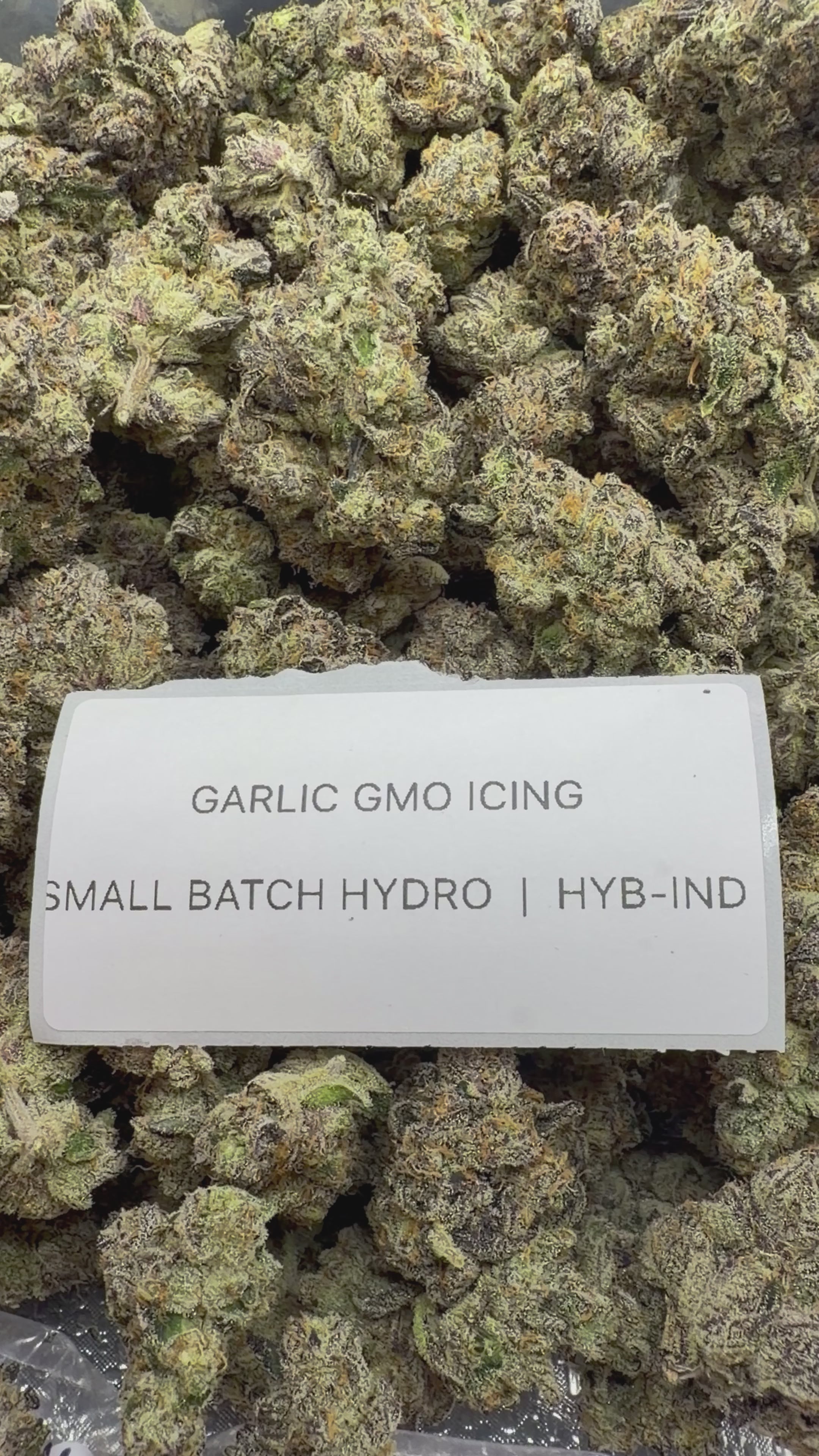 TOP SHELF EXOTICS