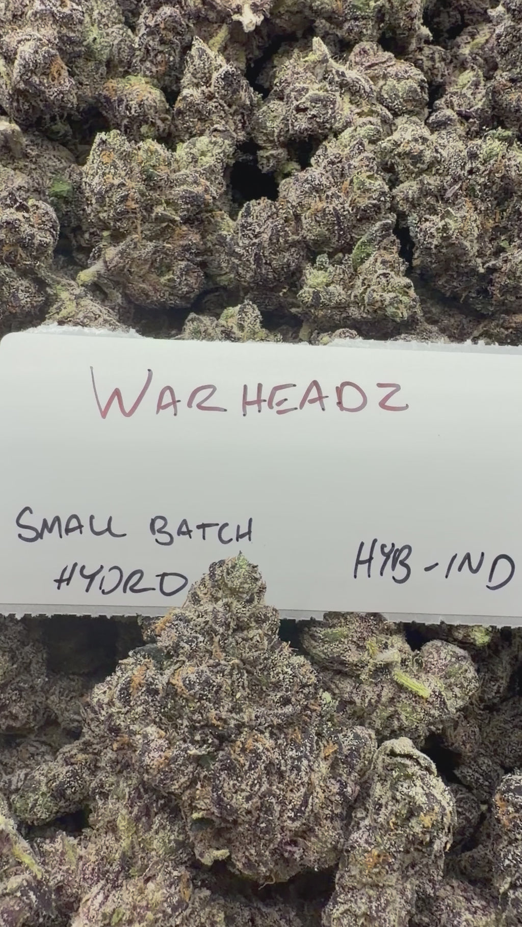 LIMITED HYDRO STRAIN 3.5g Bag - WARHEADZ