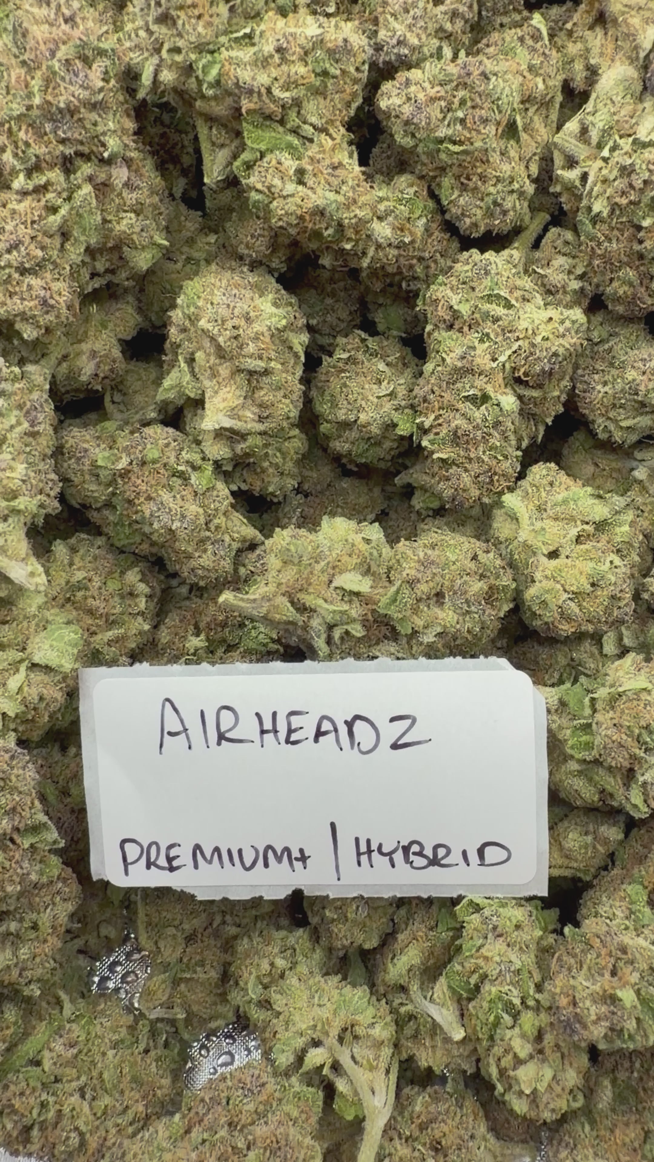 J Litty’s Weekly Deals!