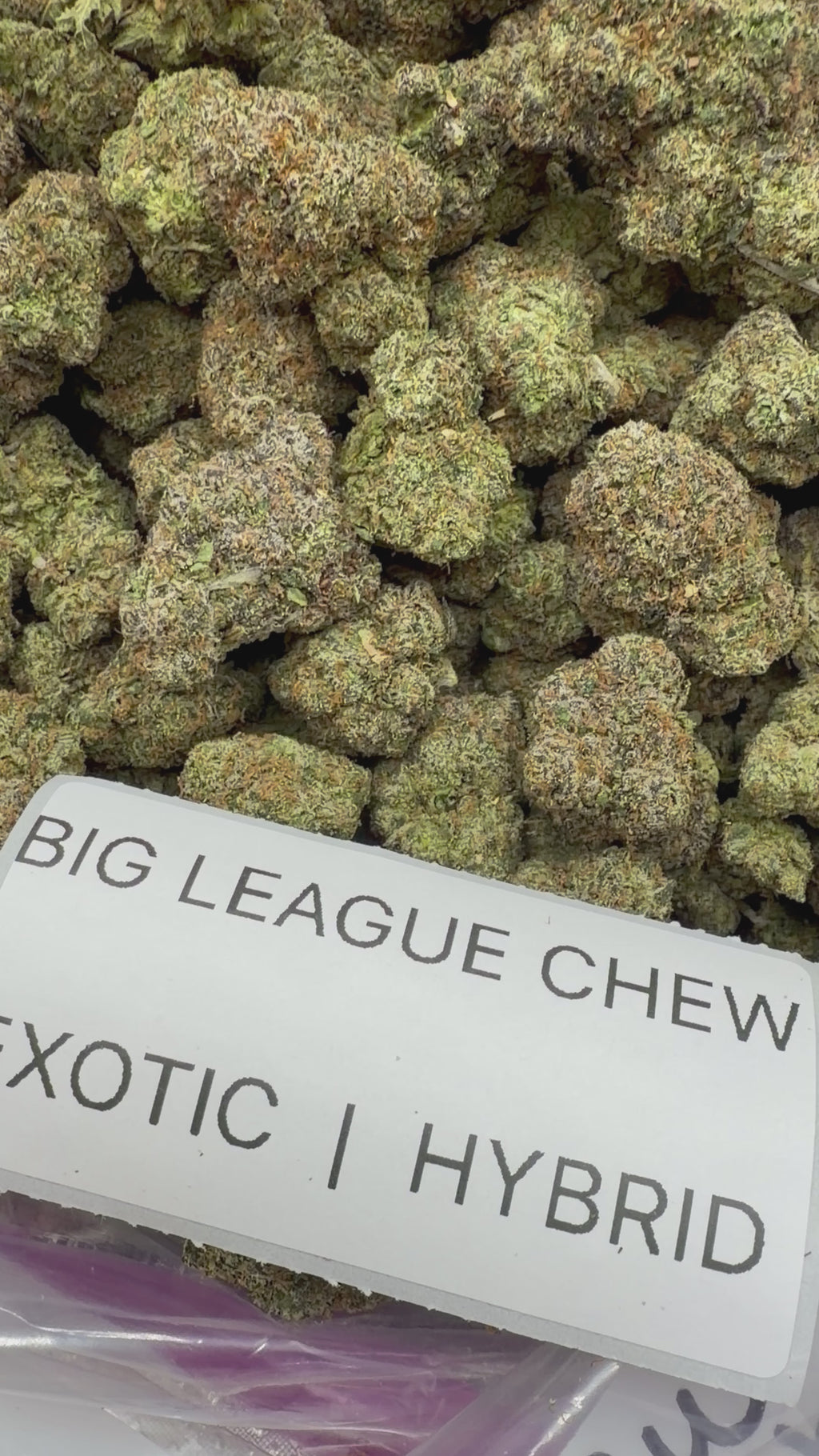 TOP SHELF EXOTICS