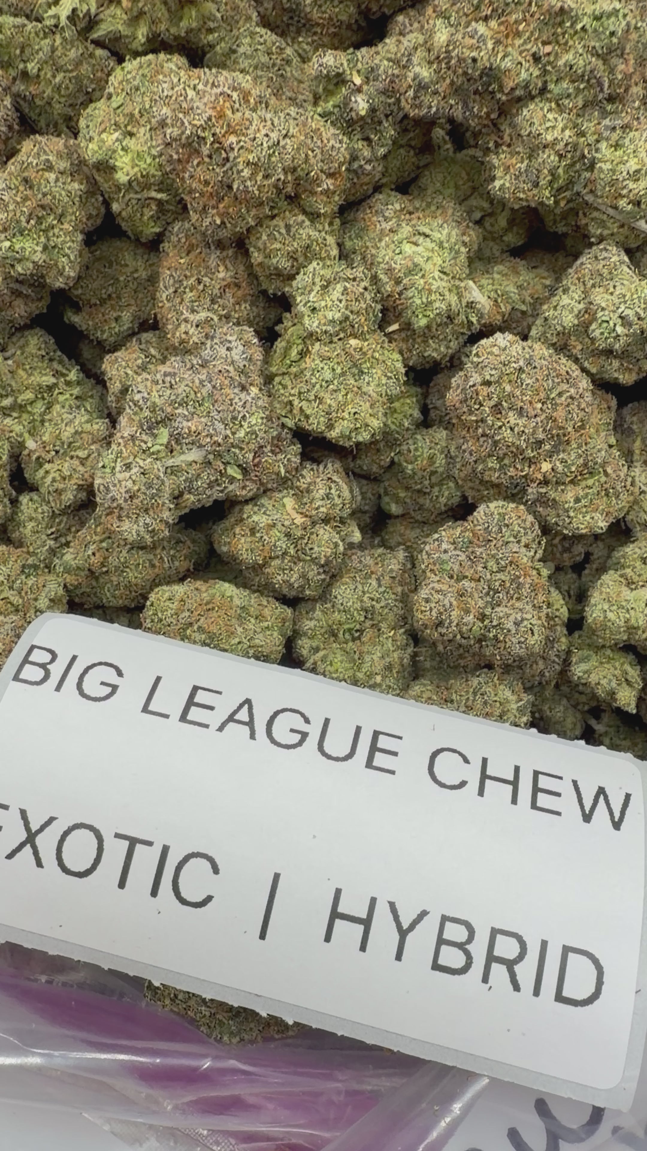 TOP SHELF EXOTICS