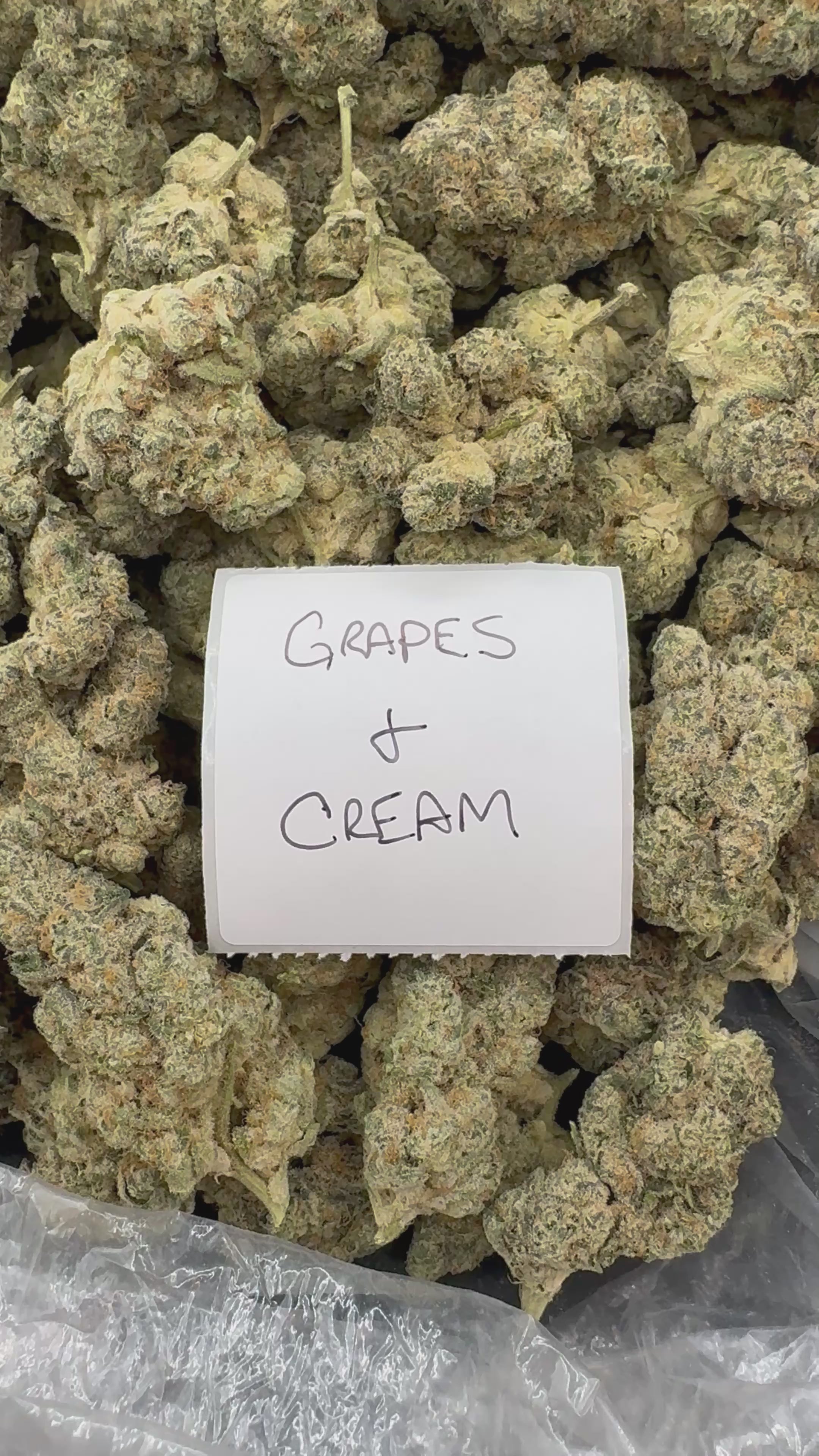 J Litty’s LABOR DAY Deals!