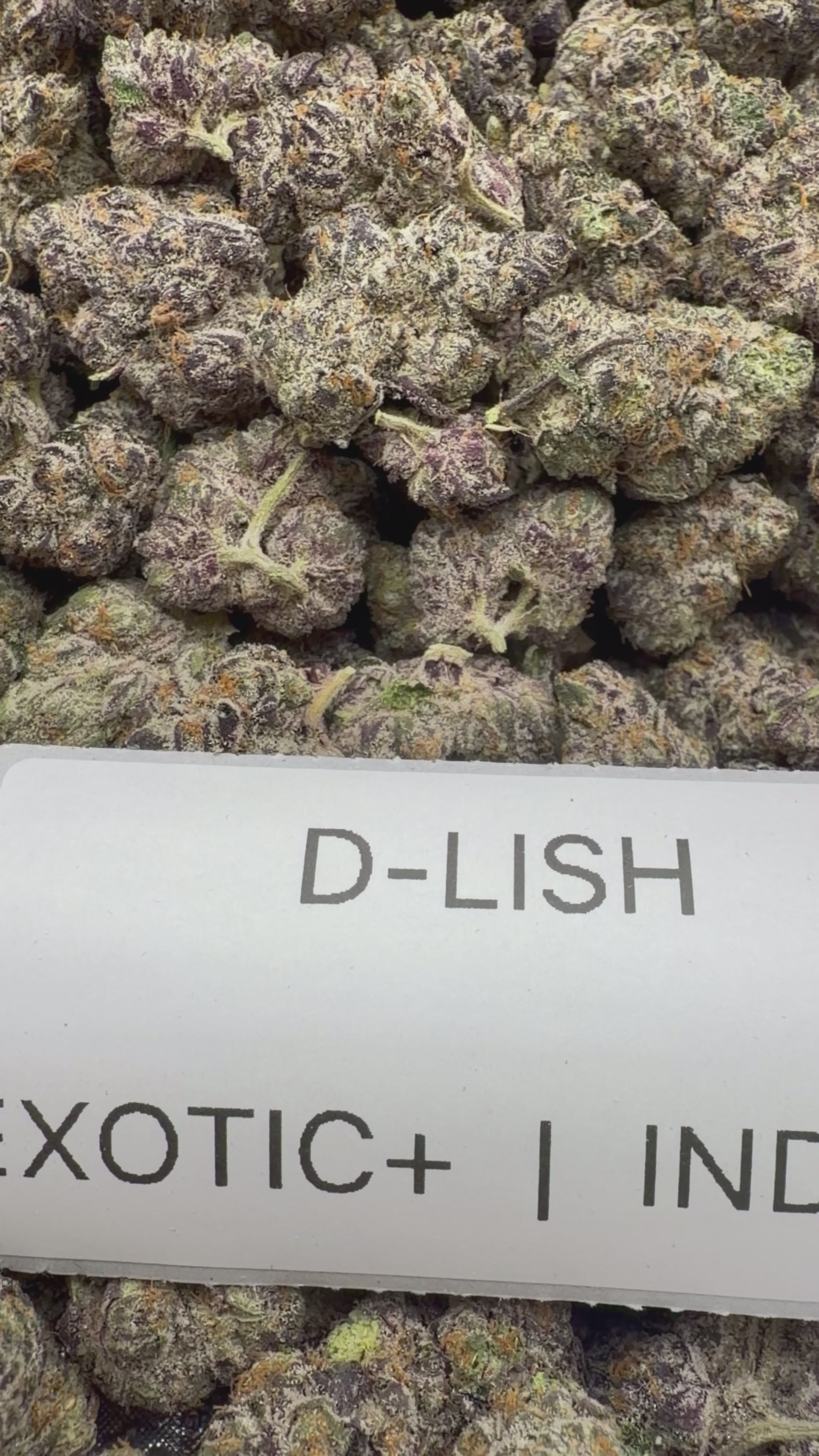 TOP SHELF EXOTICS