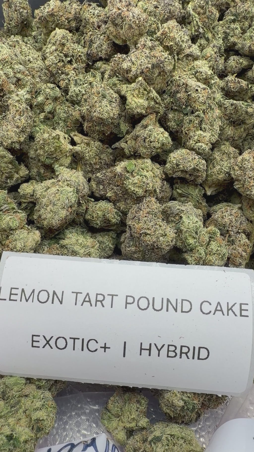 TOP SHELF EXOTICS