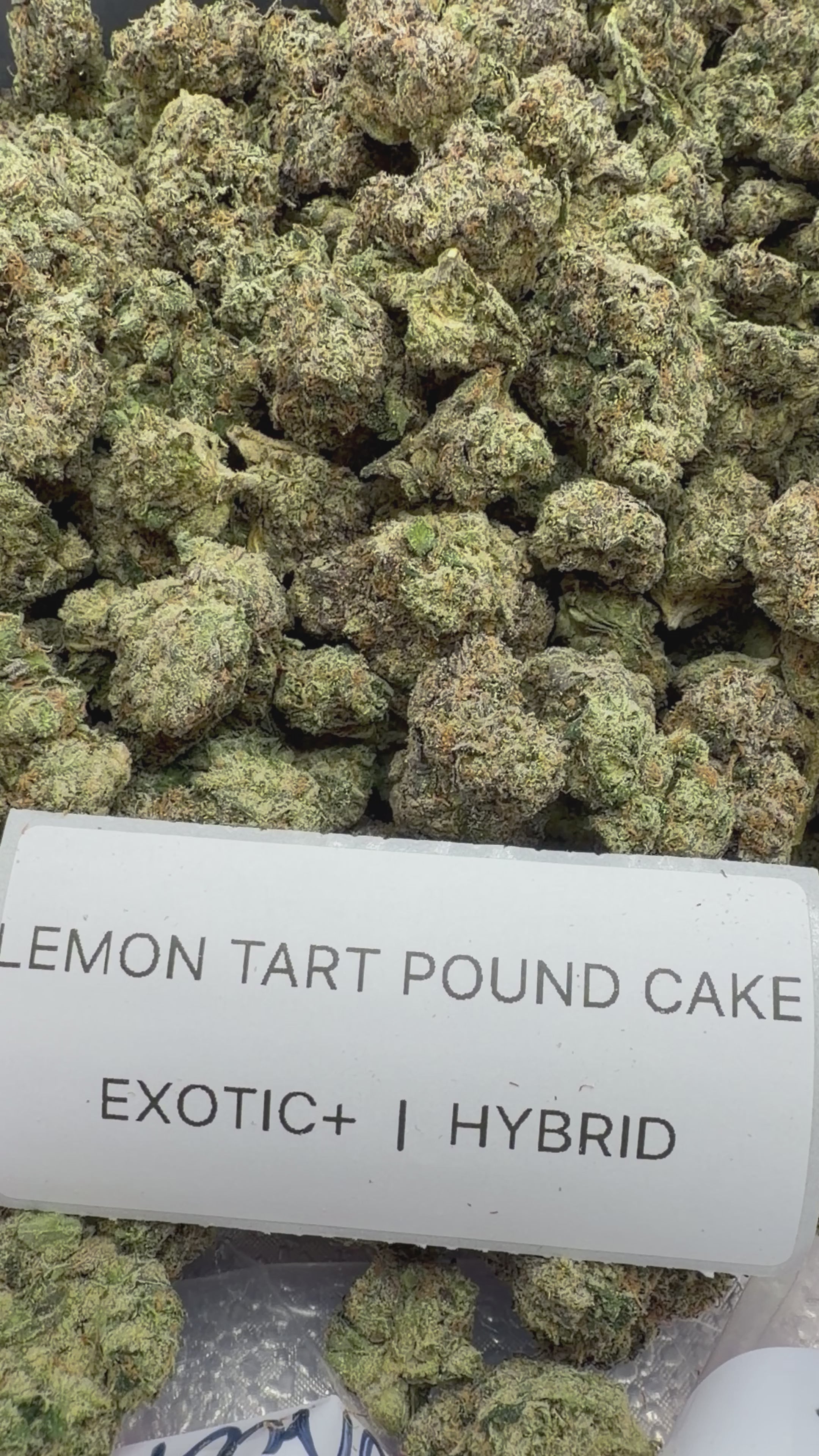 TOP SHELF EXOTICS