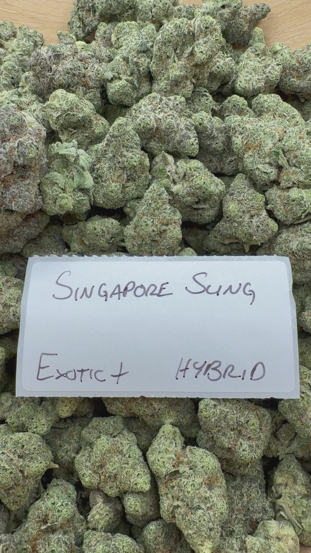 TOP SHELF EXOTICS