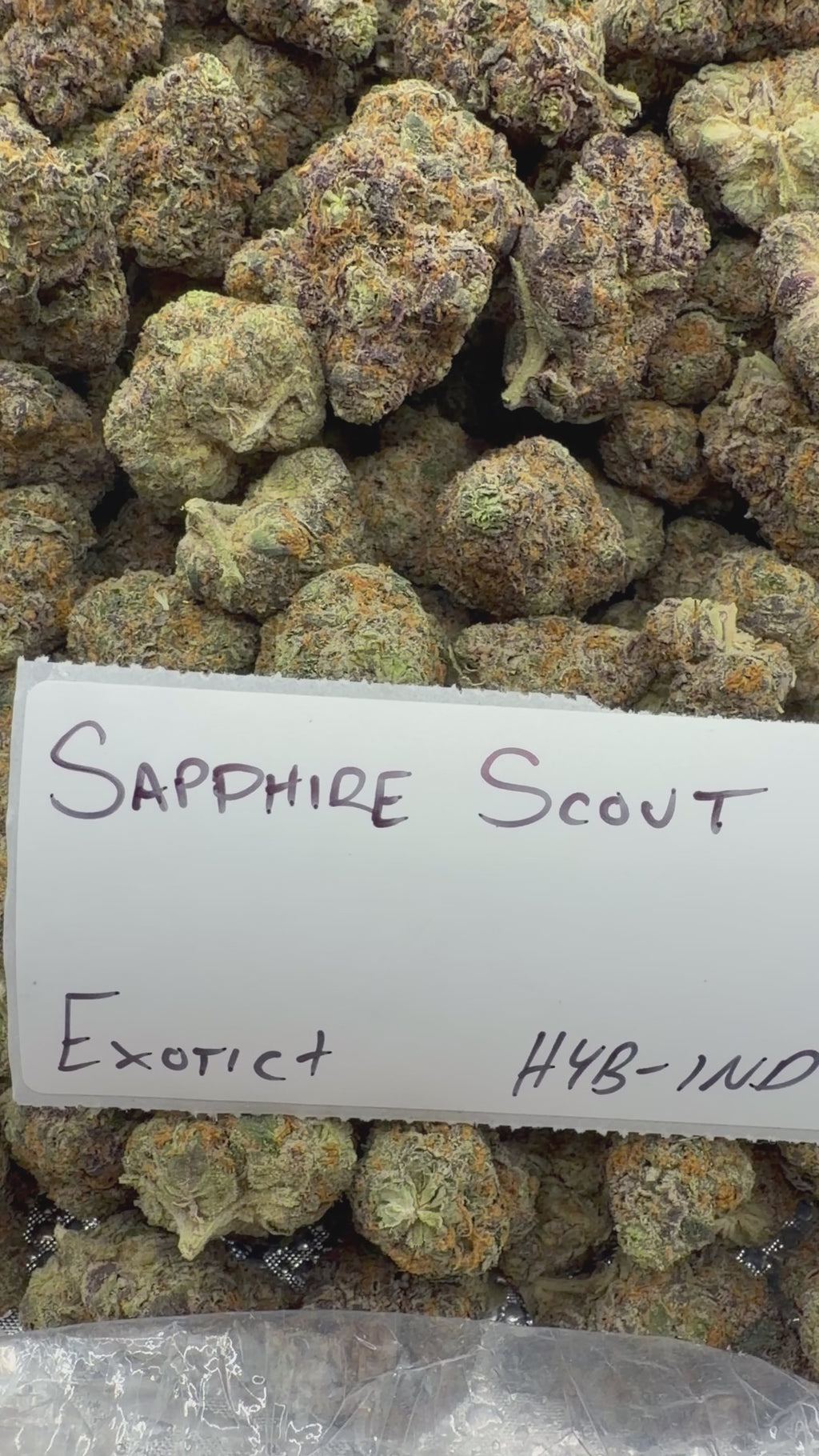 TOP SHELF EXOTICS