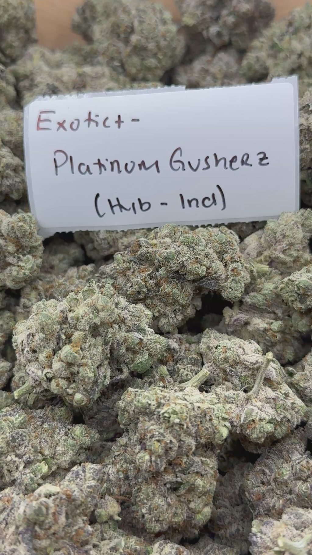 TOP SHELF EXOTICS