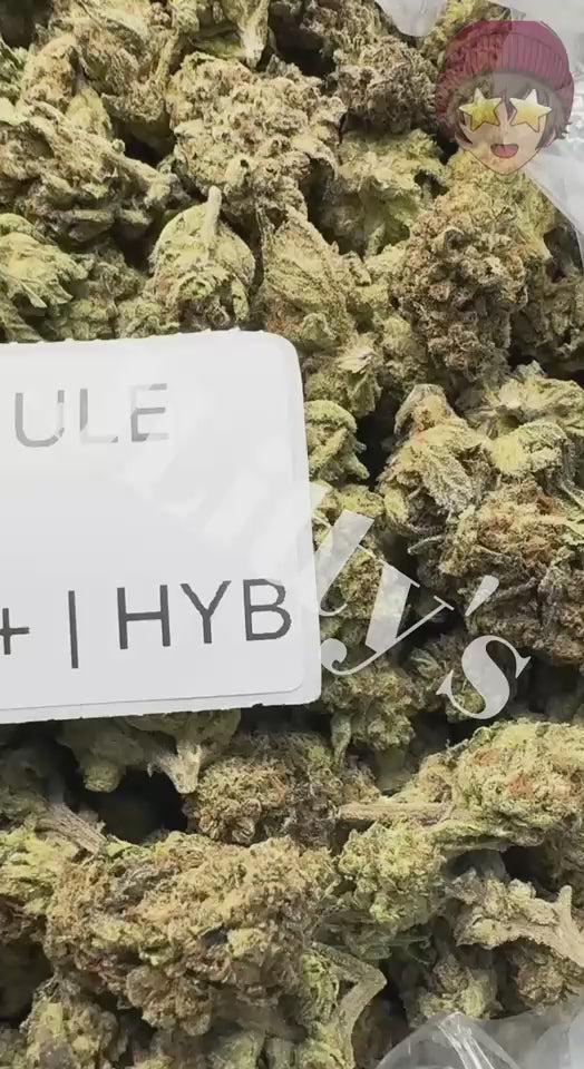 J Litty’s Weekly Deals!