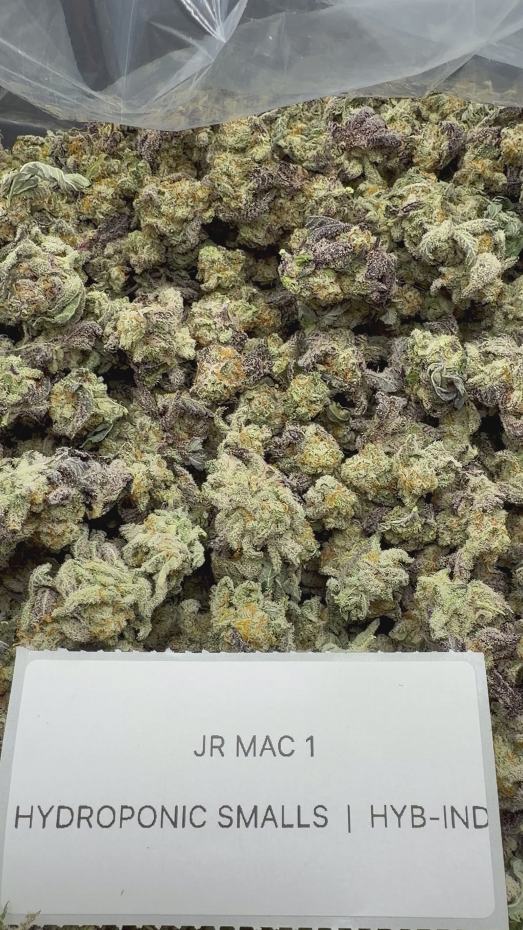 *SALE* SMALLS AND MEDIUMS