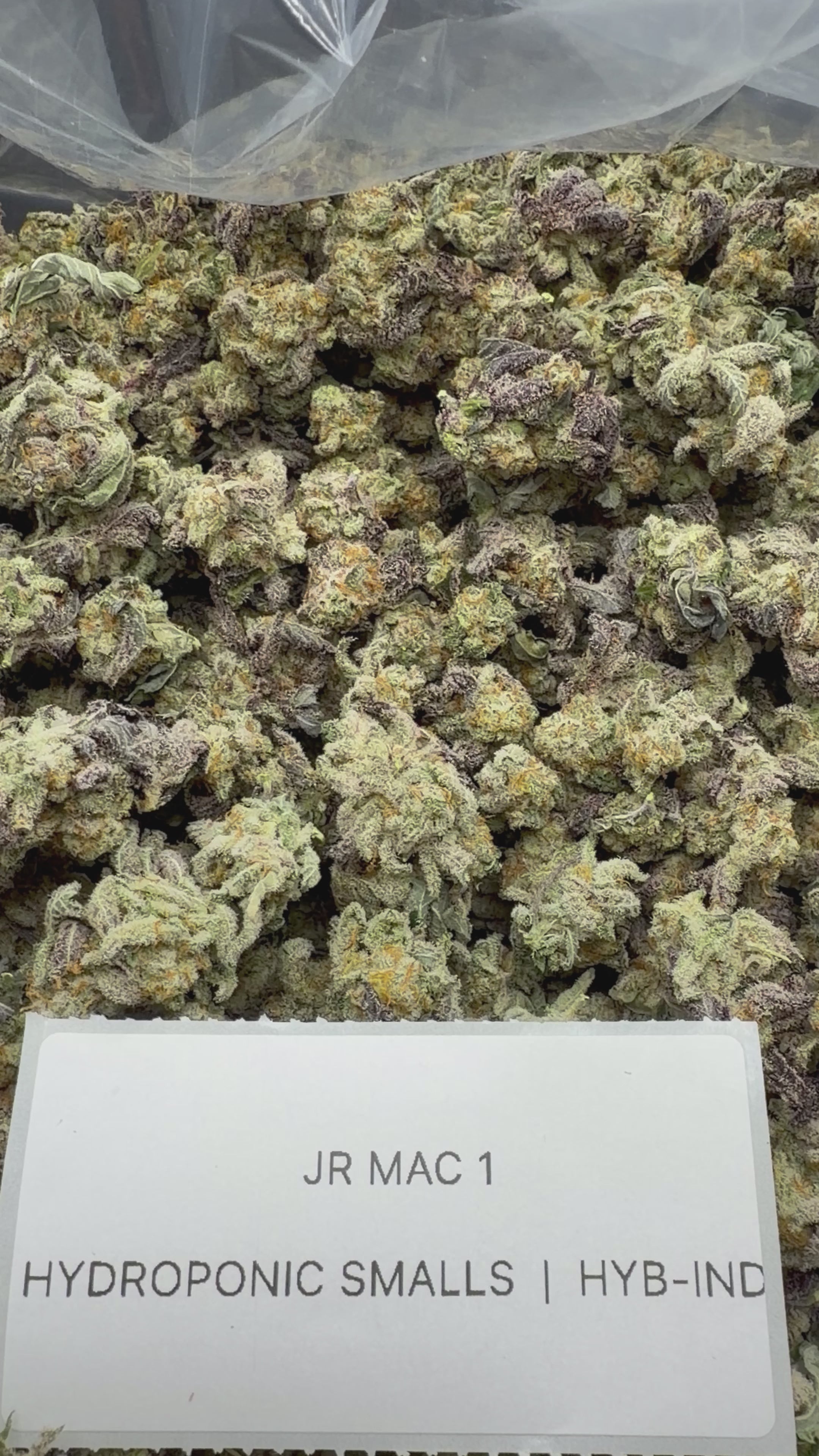 *SALE* SMALLS AND MEDIUMS