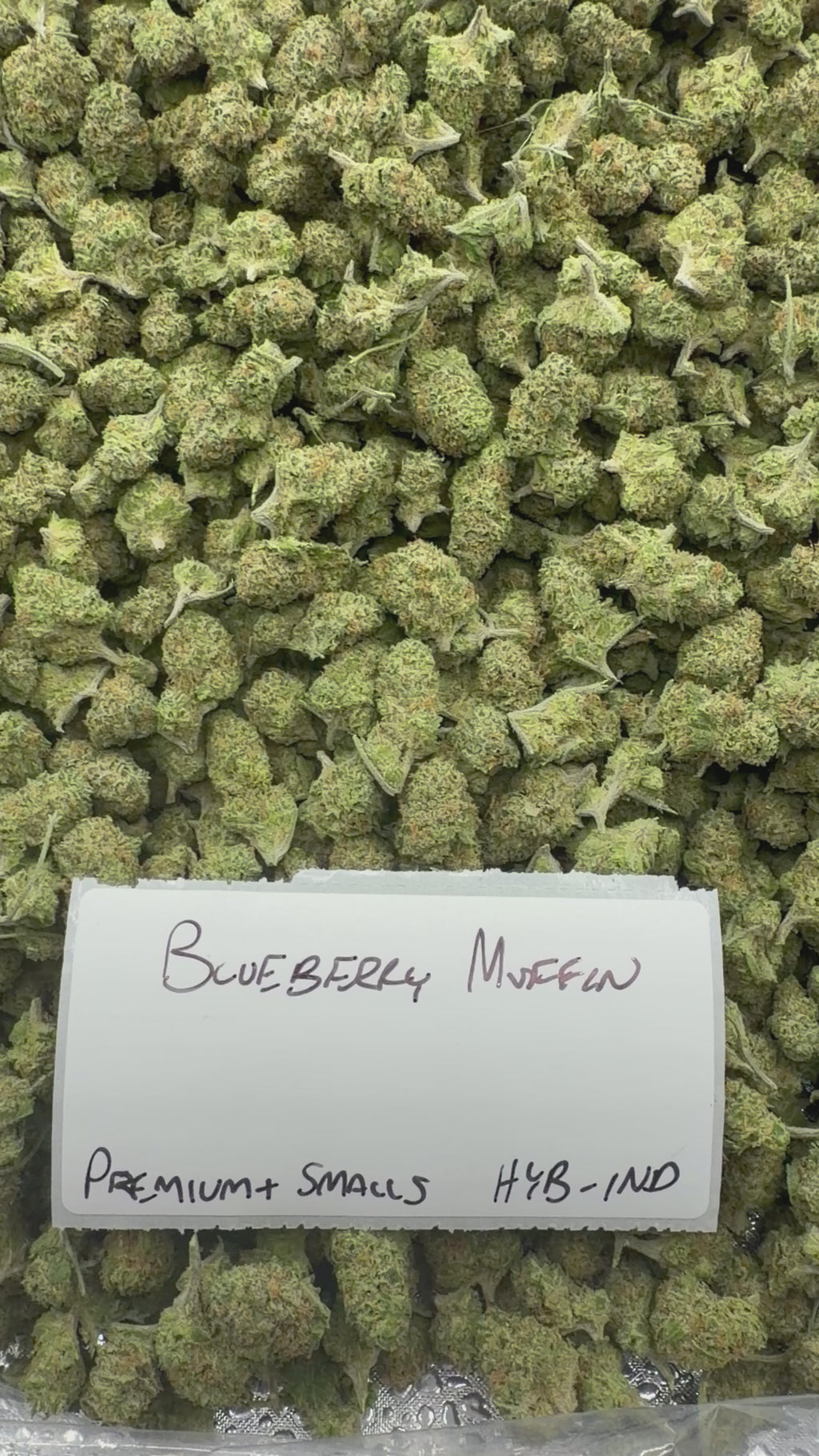 *SALE* SMALLS AND MEDIUMS (NO CODE NEEDED)