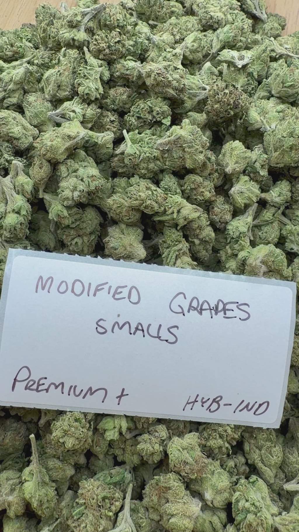 *SALE* SMALLS AND MEDIUMS (DISCOUNT CODES DO NOT APPLY)