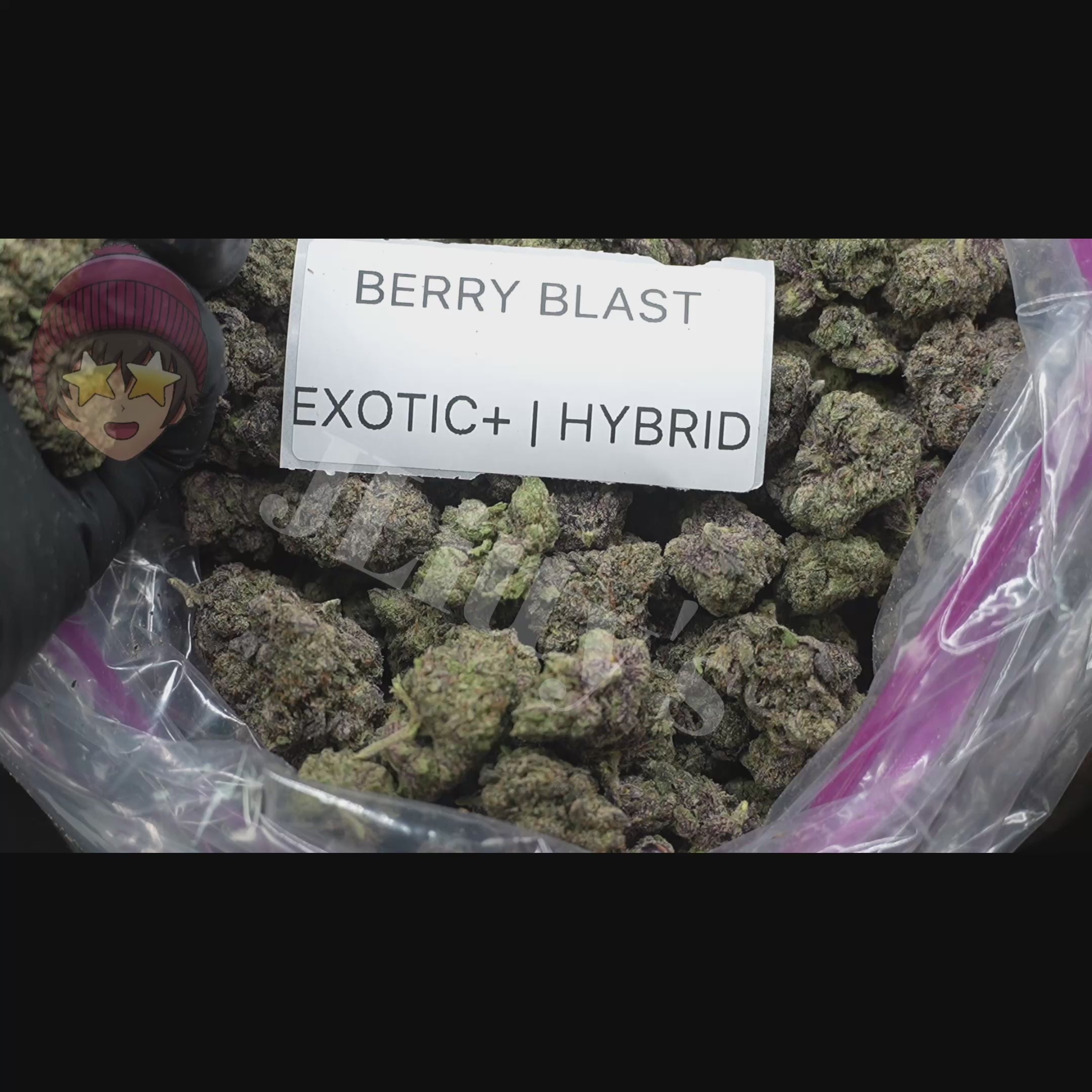 TOP SHELF EXOTICS