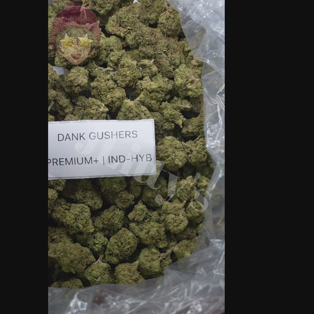 J Litty’s Weekly Deals!