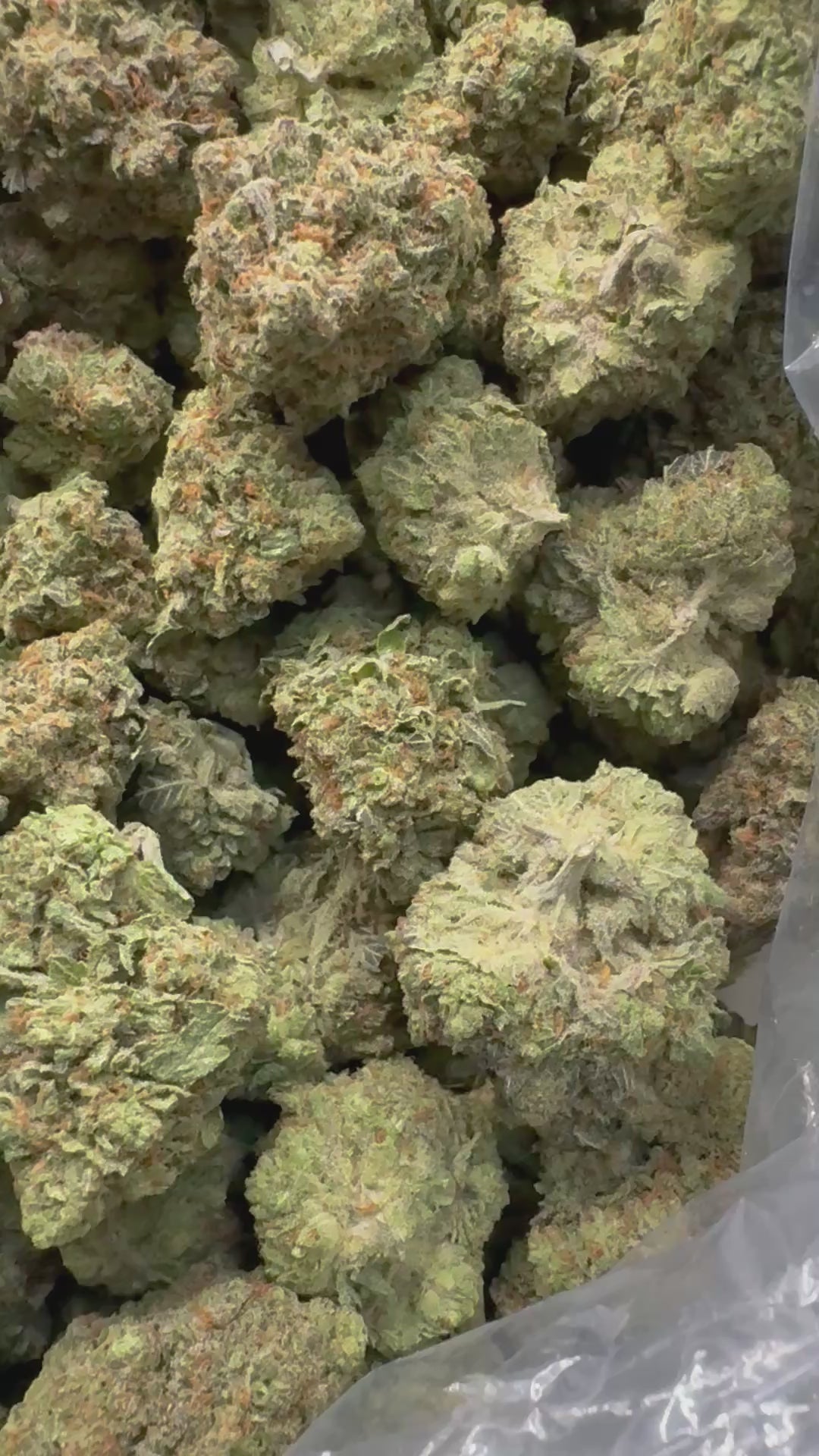 J Litty’s Weekly Deals!