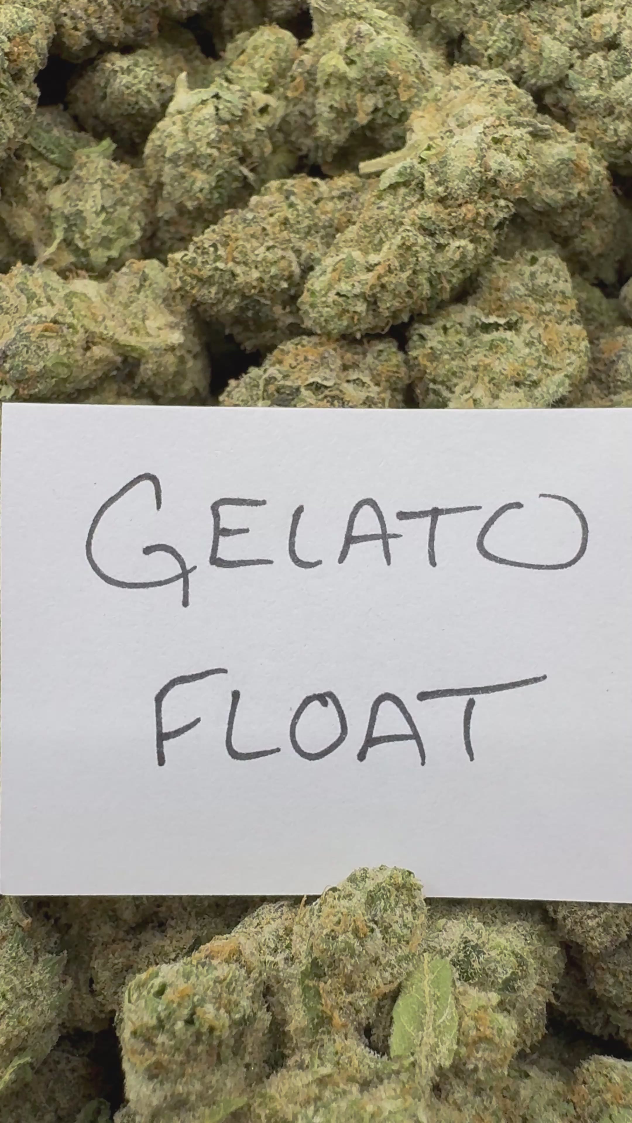 EXOTIC FLOWERS