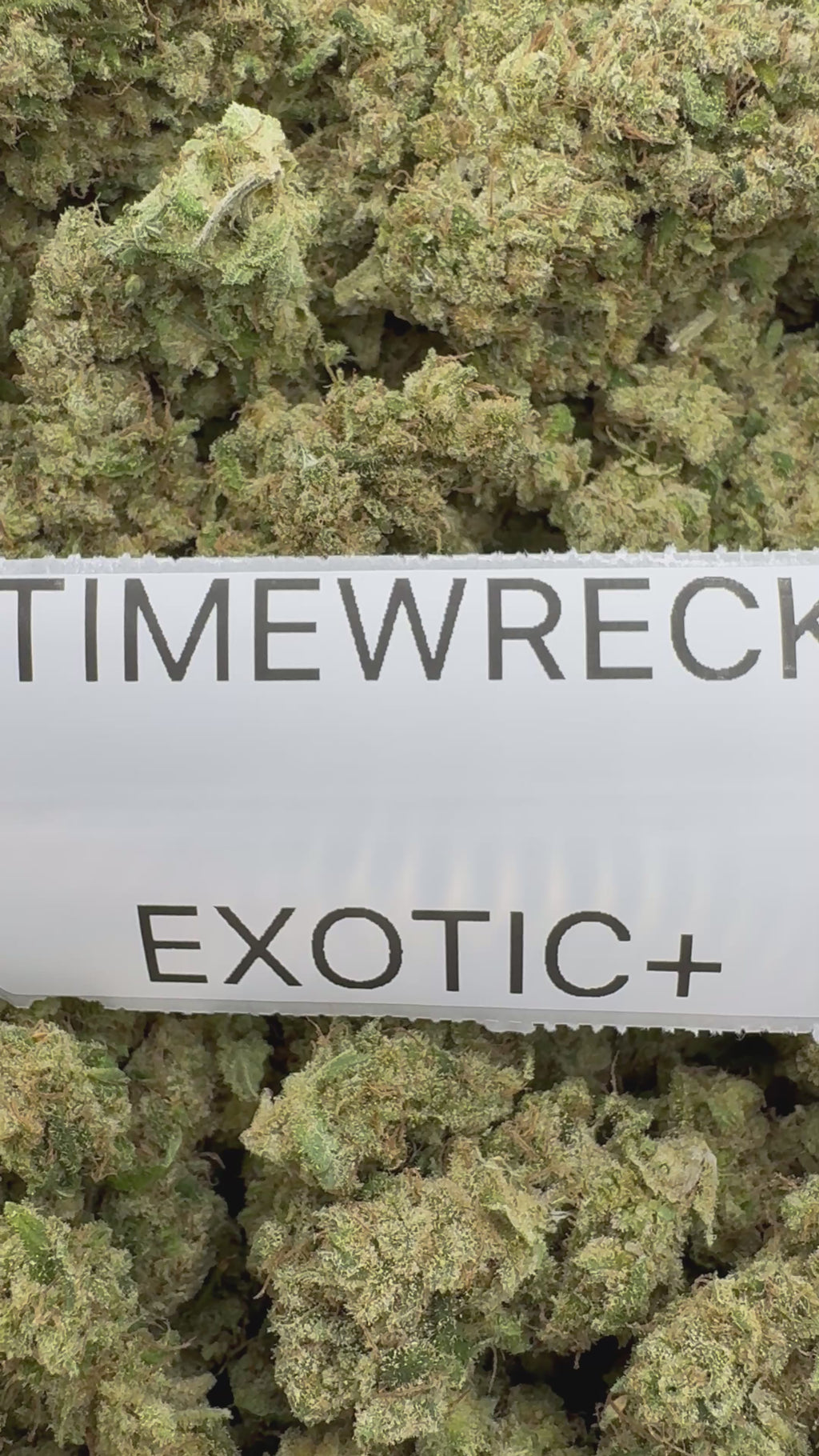TOP SHELF EXOTICS