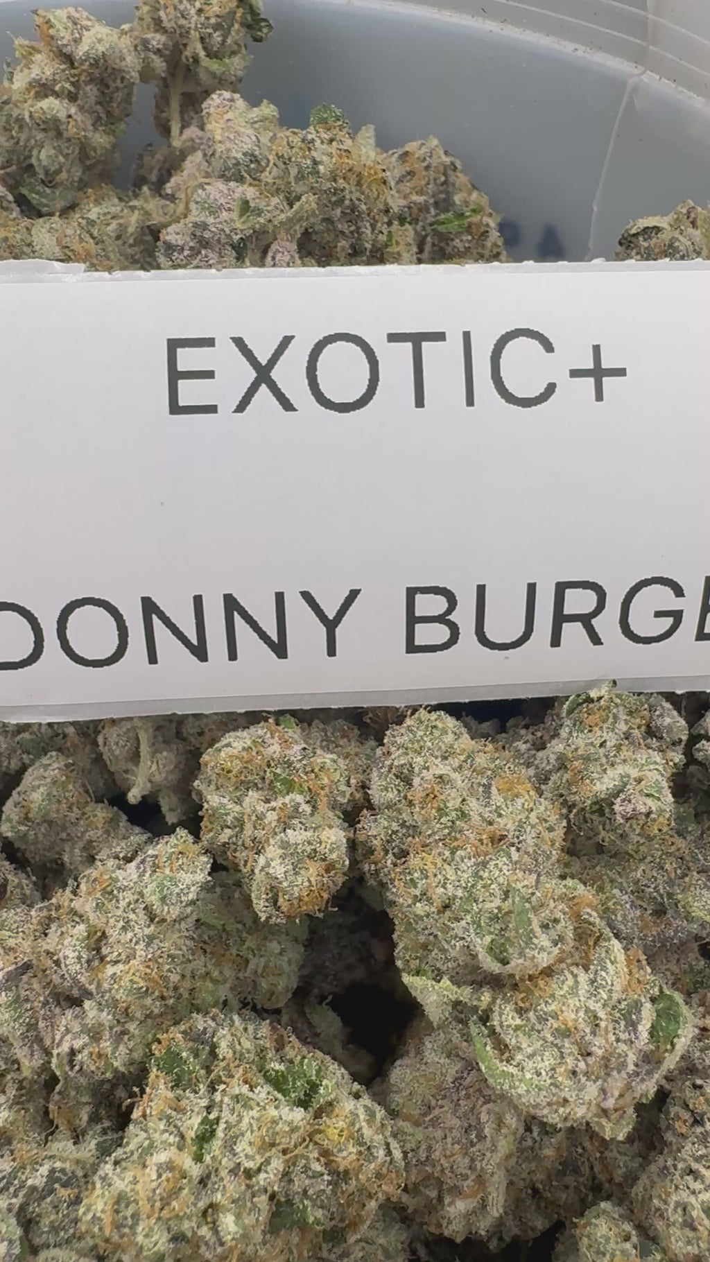 TOP SHELF EXOTICS