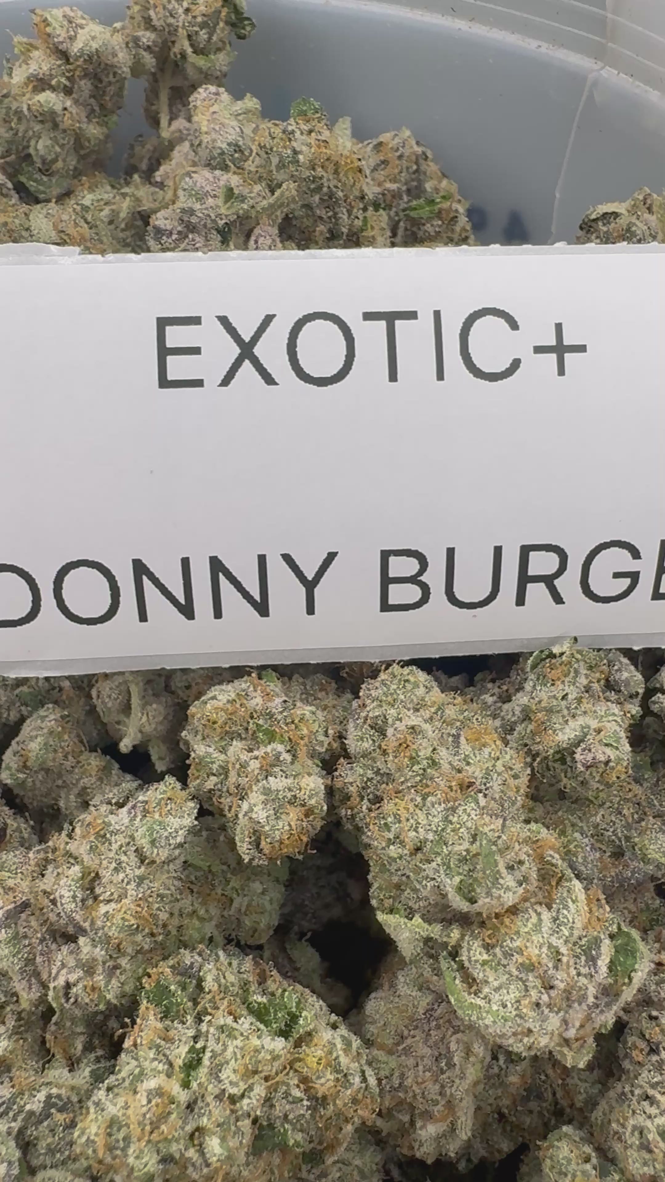 EXOTIC FLOWERS