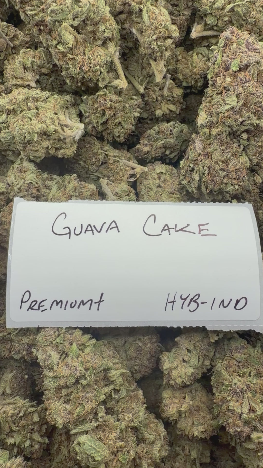 J Litty’s Weekly Deals!