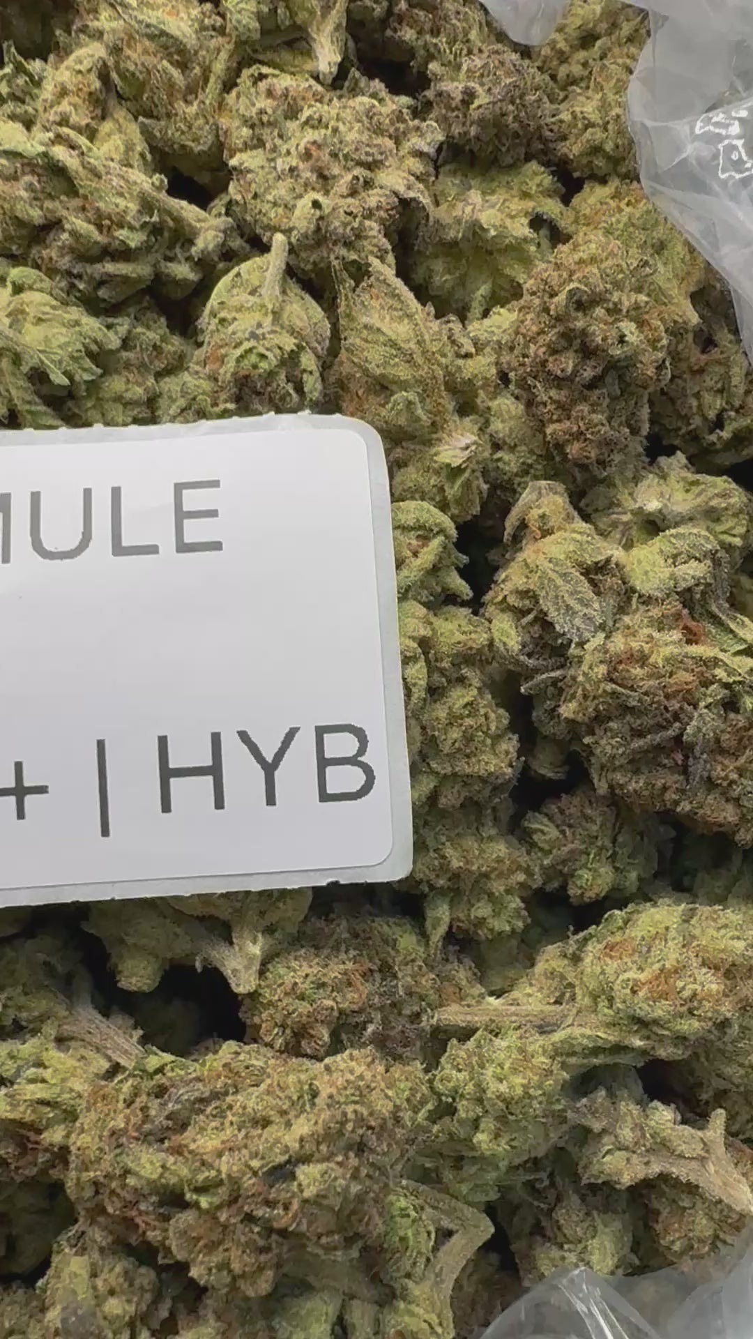 J Litty’s Weekly Deals!