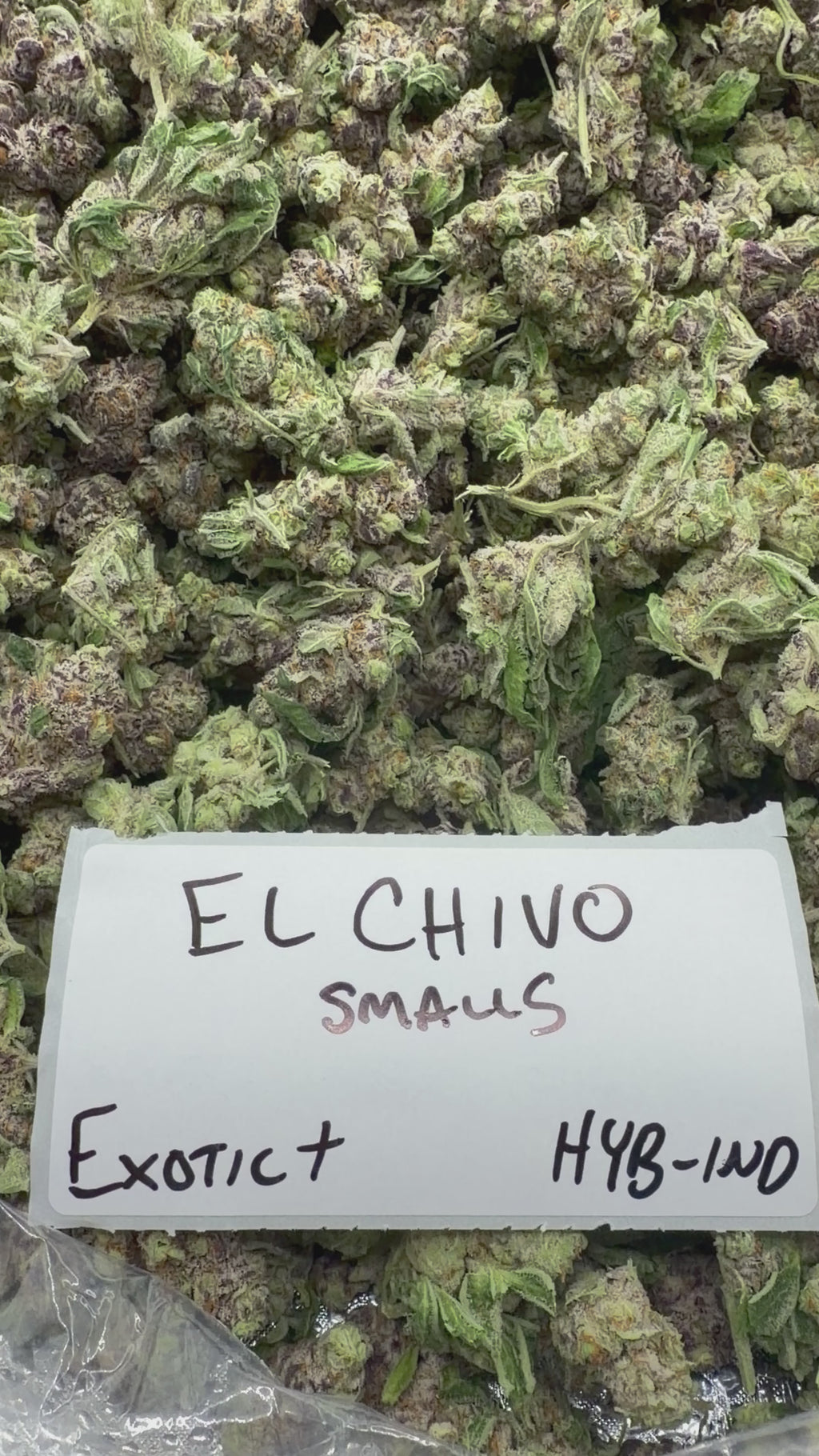 *SALE* SMALLS AND MEDIUMS (DISCOUNT CODES DO NOT APPLY)