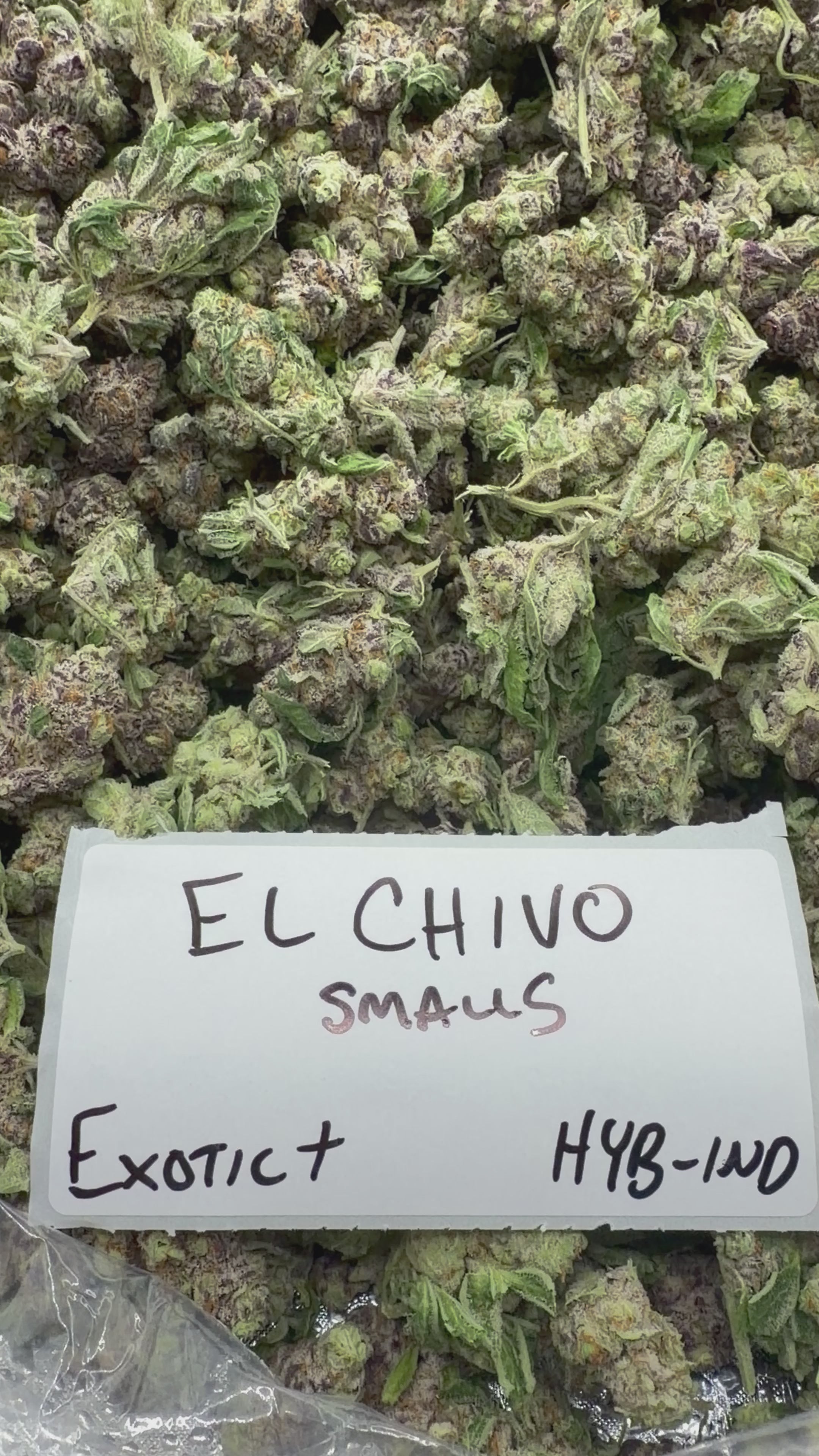 *SALE* SMALLS AND MEDIUMS (DISCOUNT CODES DO NOT APPLY)