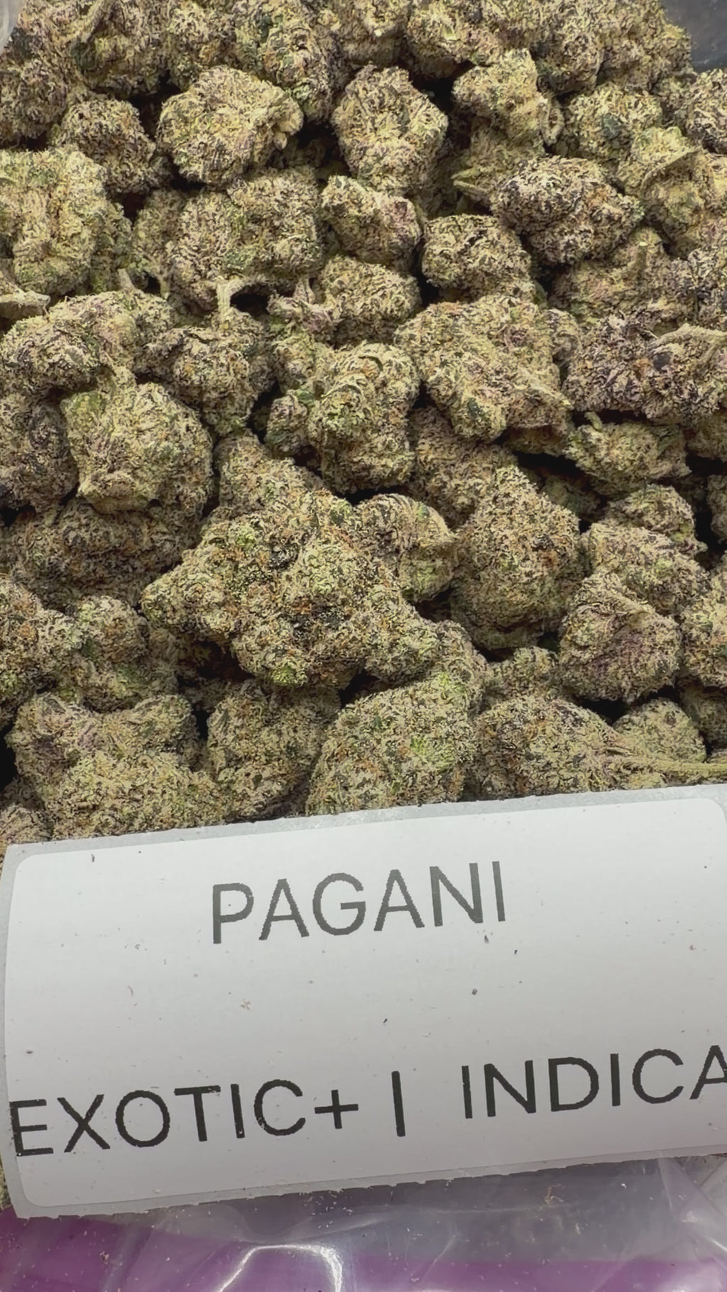 TOP SHELF EXOTICS