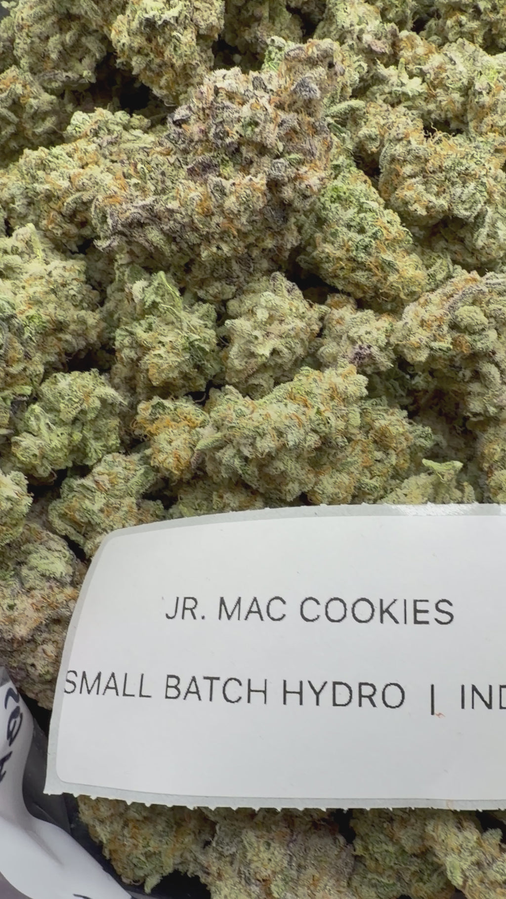 TOP SHELF EXOTICS
