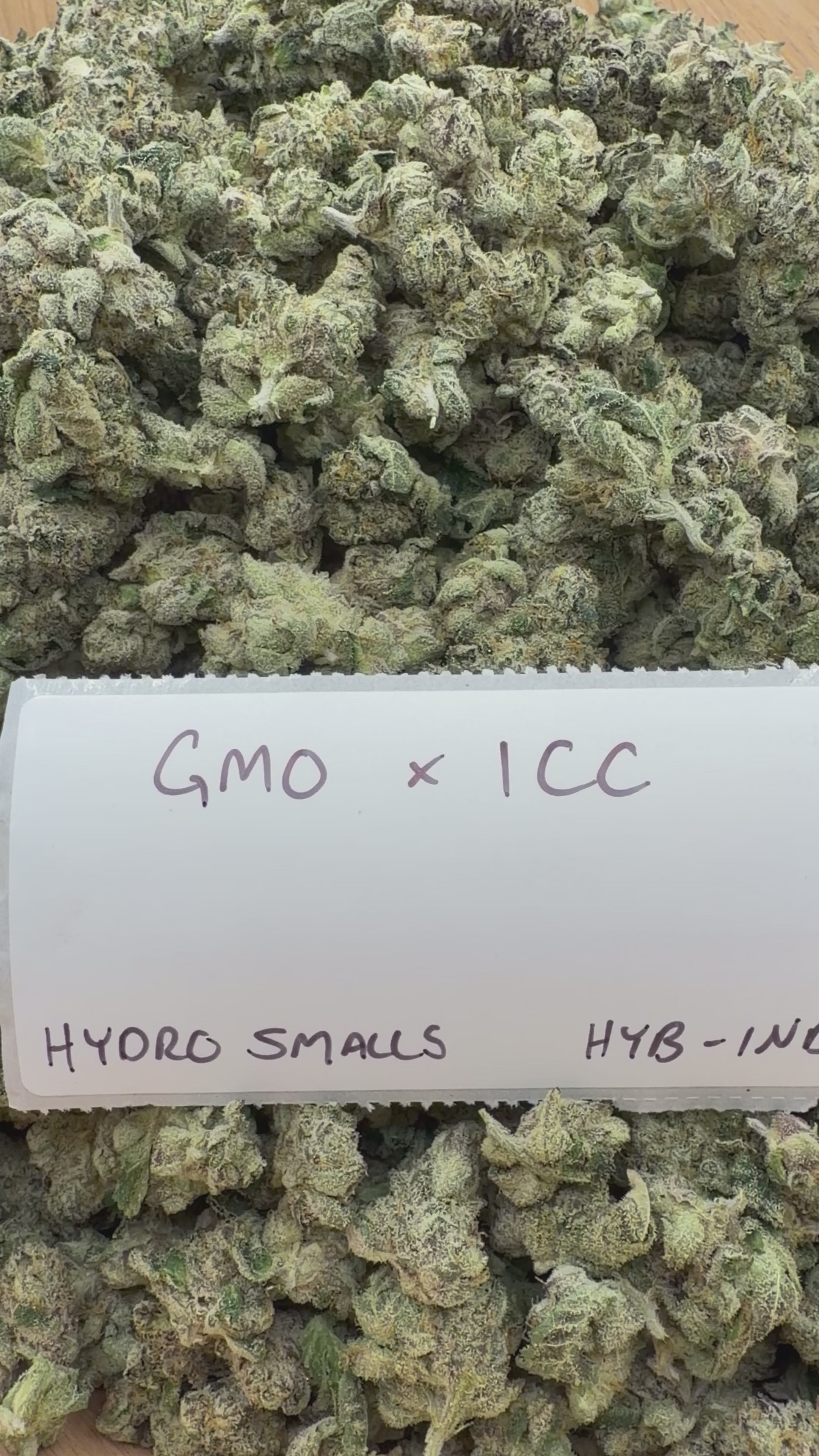 *SALE* SMALLS AND MEDIUMS (DISCOUNT CODES DO NOT APPLY)