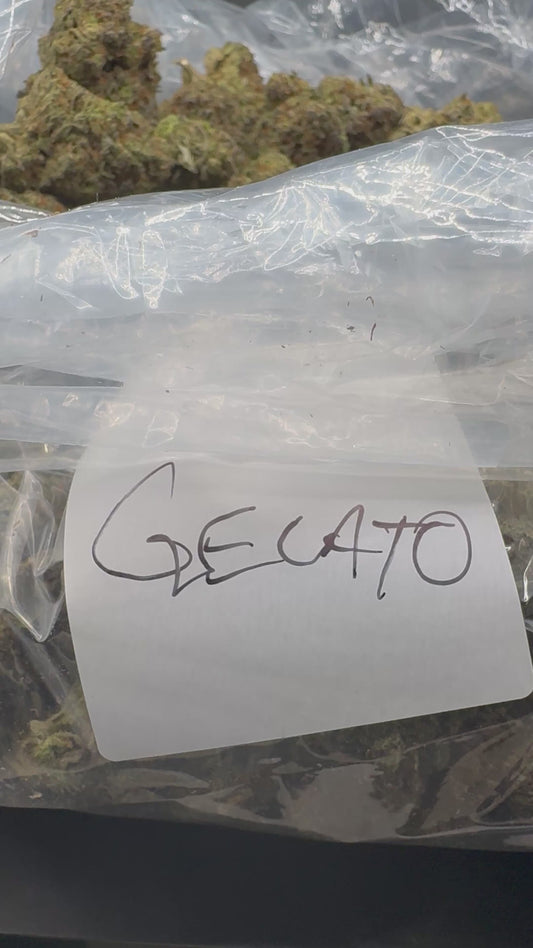 Gelato (Super)