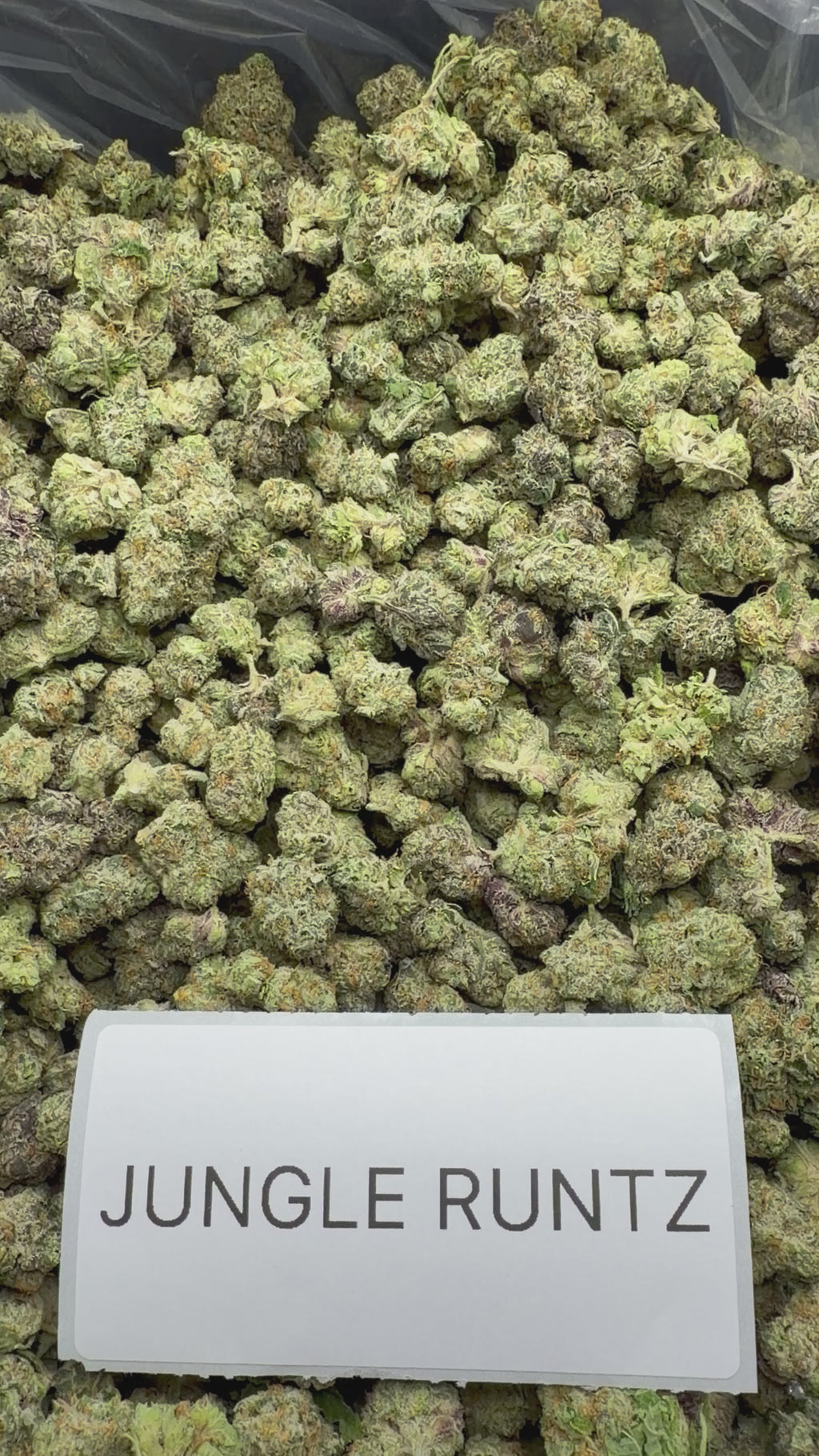 *SALE* SMALLS AND MEDIUMS