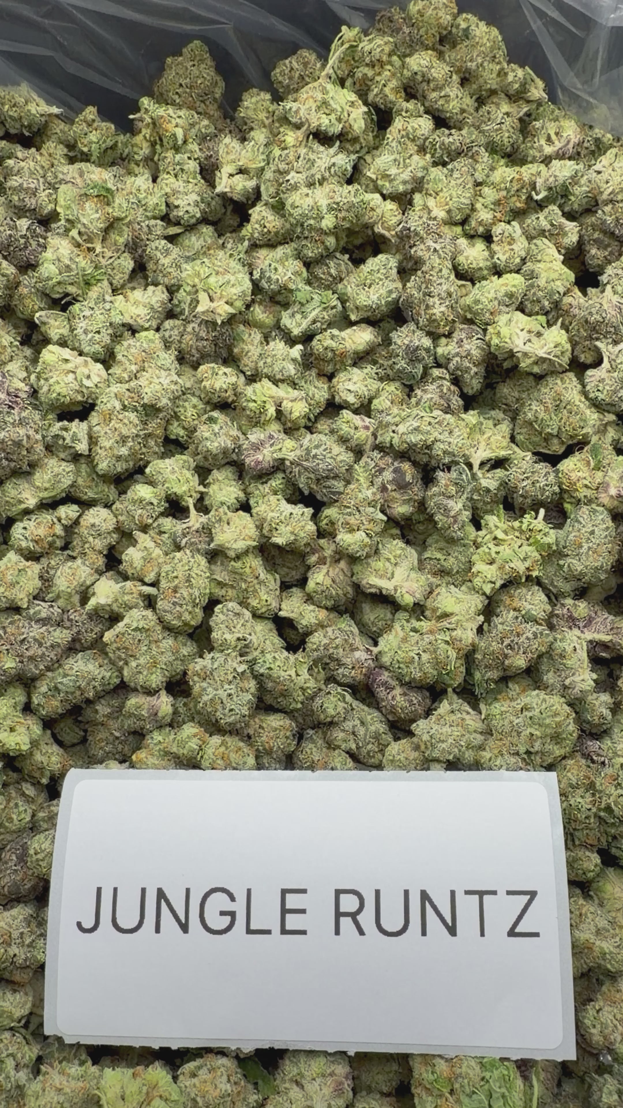 *SALE* SMALLS AND MEDIUMS