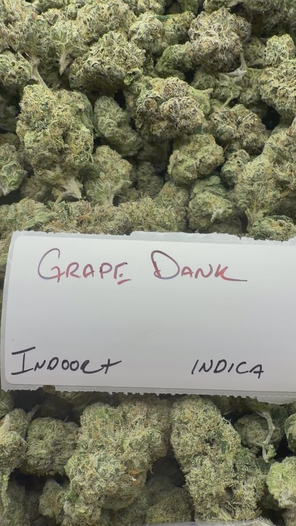 J Litty’s Weekly Deals!