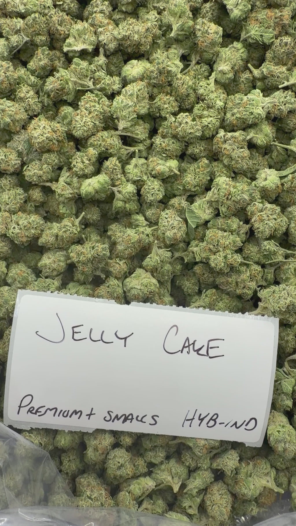 *SALE* SMALLS AND MEDIUMS (NO CODE NEEDED)