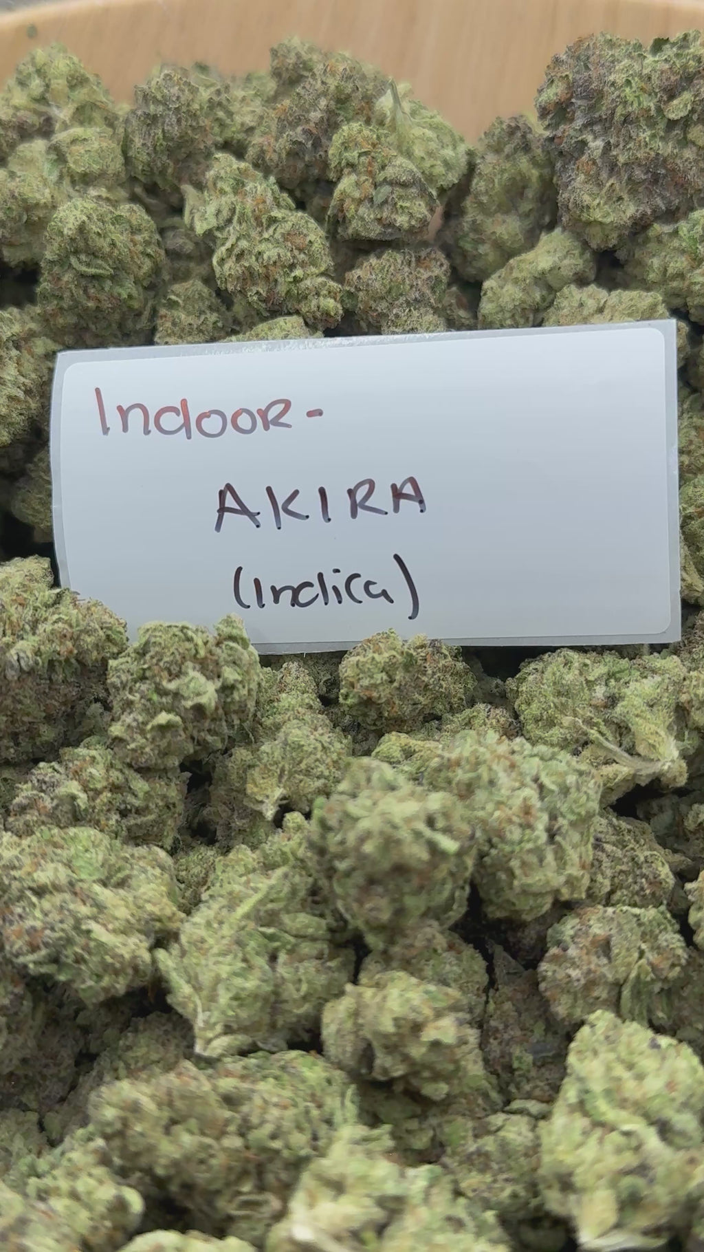 J Litty’s Weekly Deals!