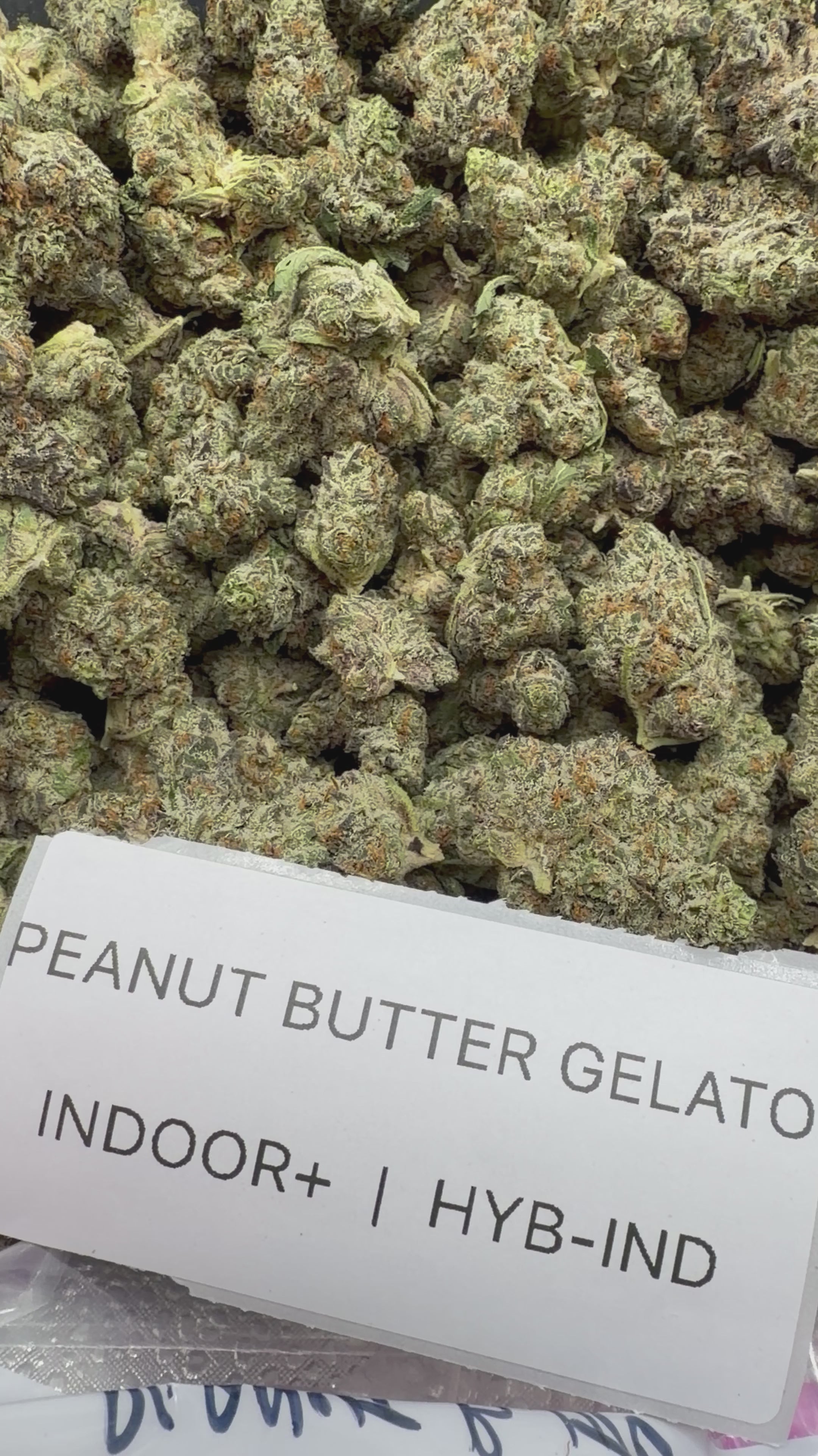 J Litty’s Weekly Deals!