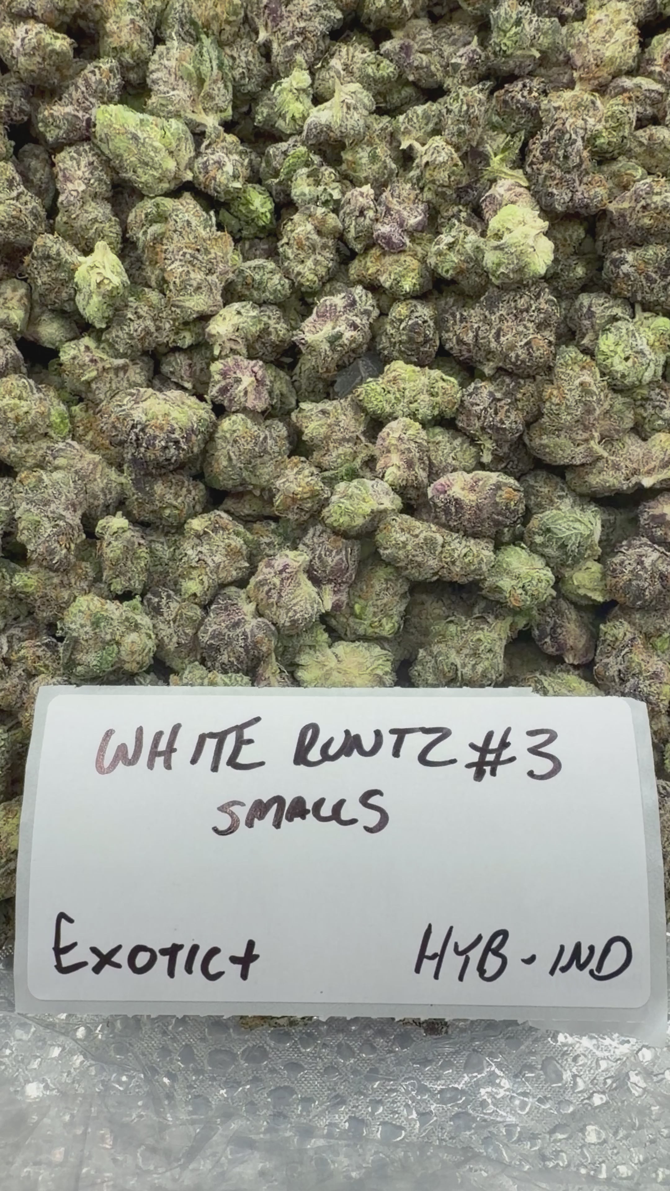 *SALE* SMALLS AND MEDIUMS (DISCOUNT CODES DO NOT APPLY)