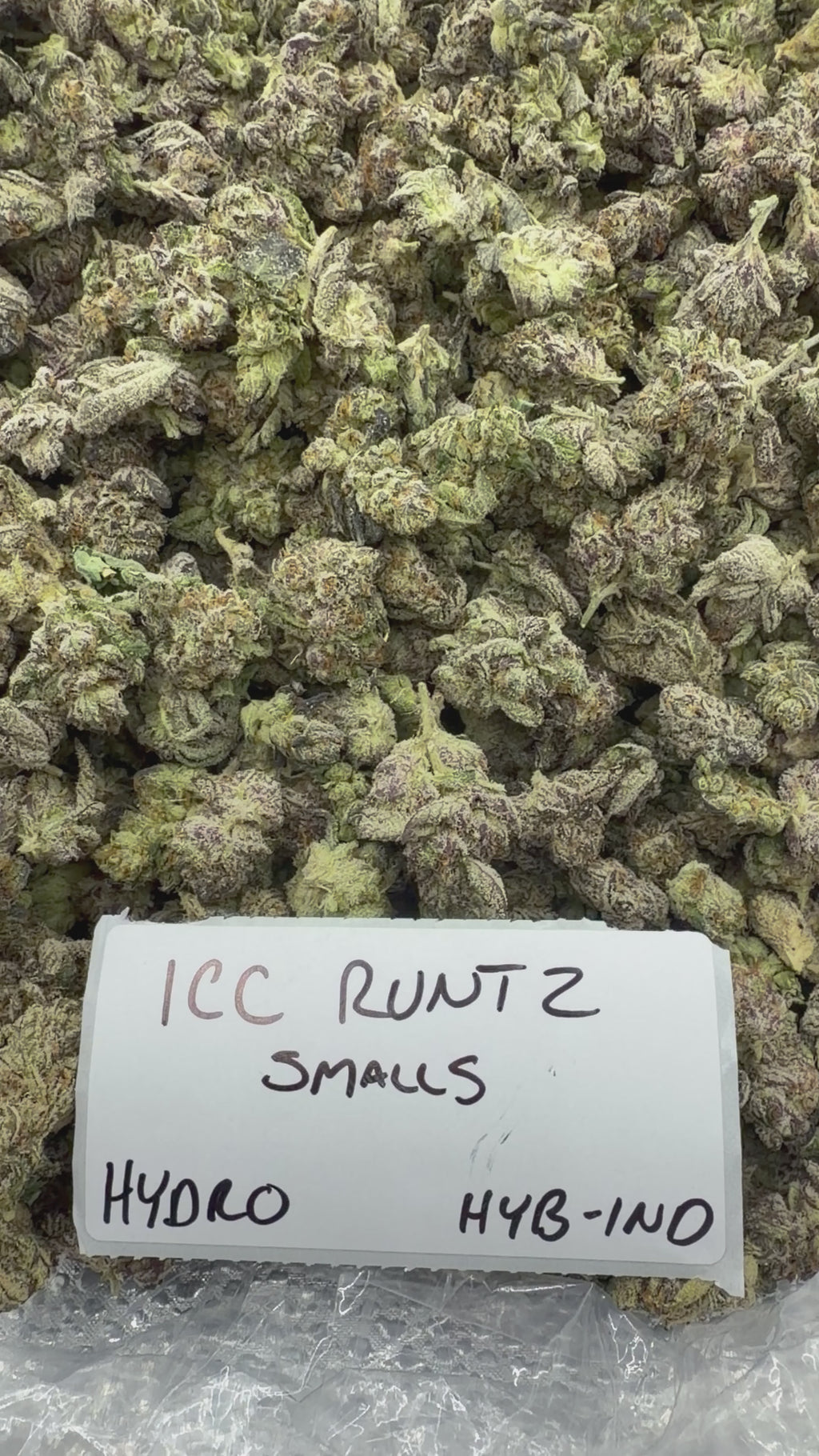 *SALE* SMALLS AND MEDIUMS (DISCOUNT CODES DO NOT APPLY)