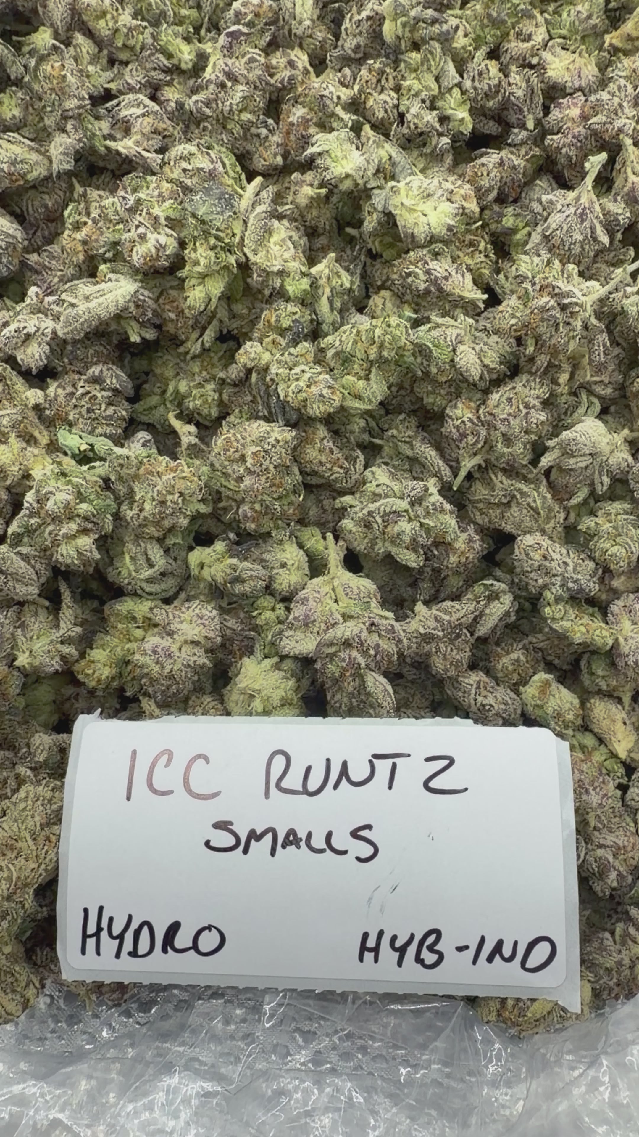 *SALE* SMALLS AND MEDIUMS (DISCOUNT CODES DO NOT APPLY)